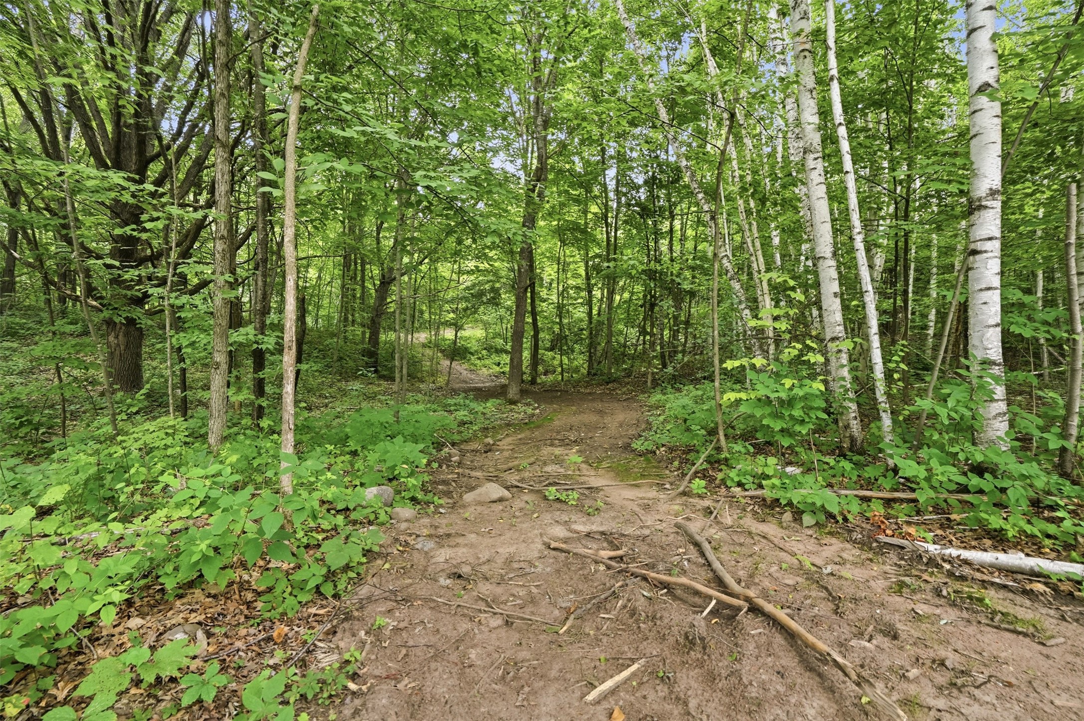25307 144th Street Property Photo 14