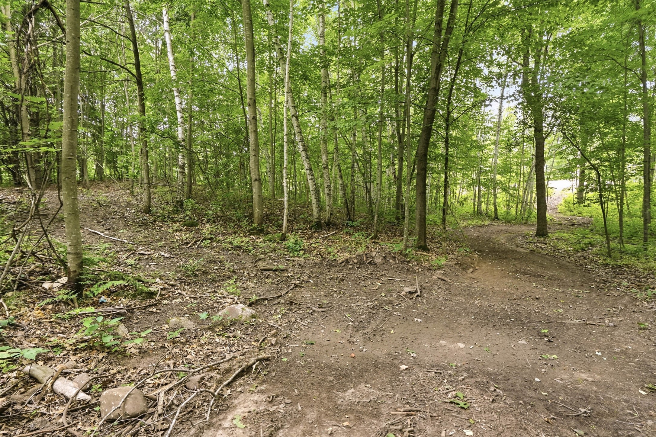 25307 144th Street Property Photo 15