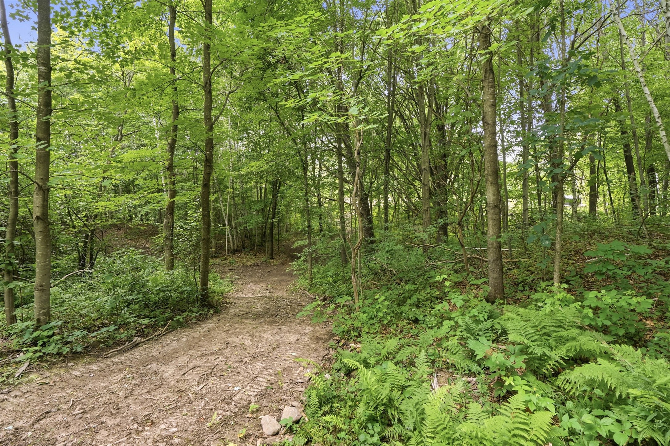 25307 144th Street Property Photo 18