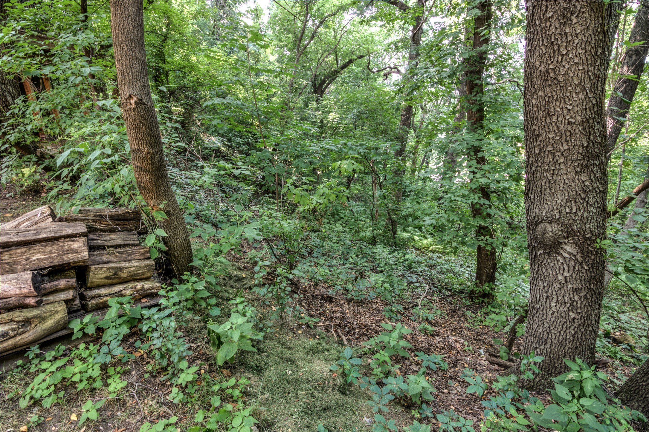 608 Manor Court Property Photo 38