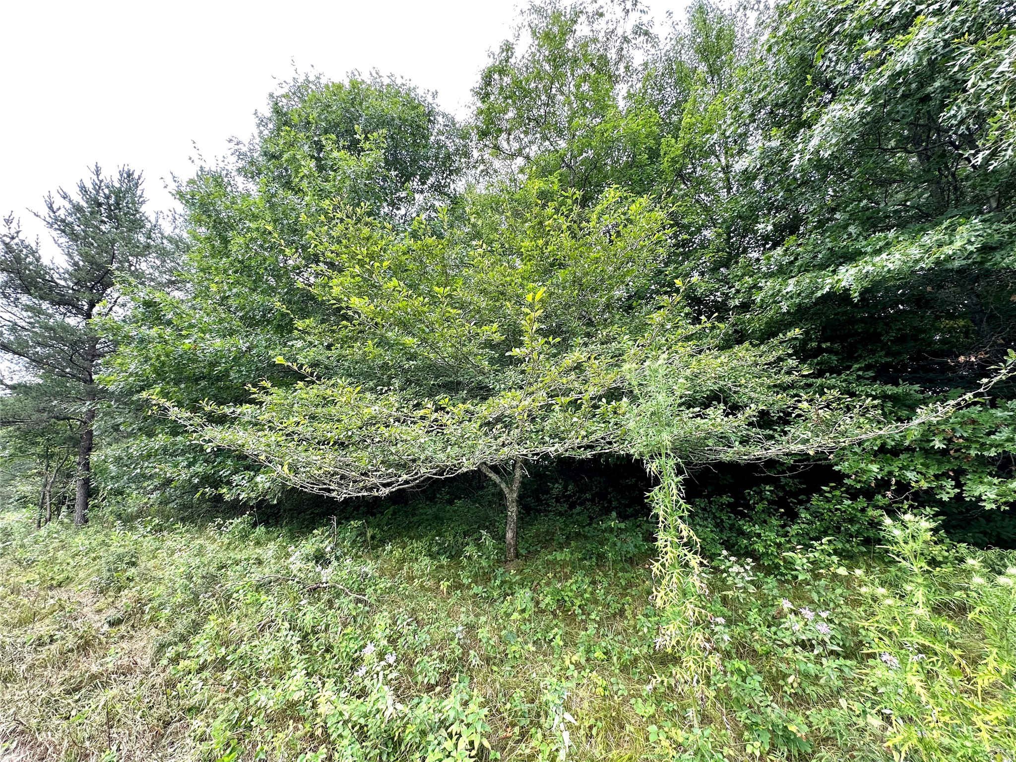 0 County Road N Property Photo 11