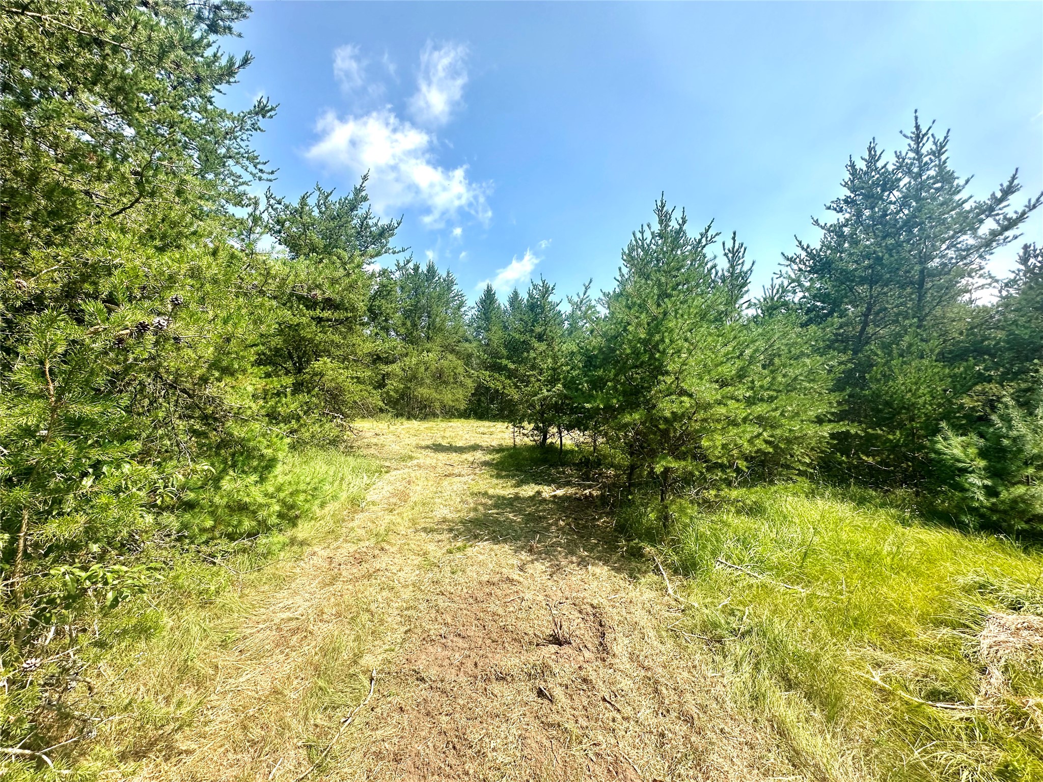 0 County Road N Property Photo 13