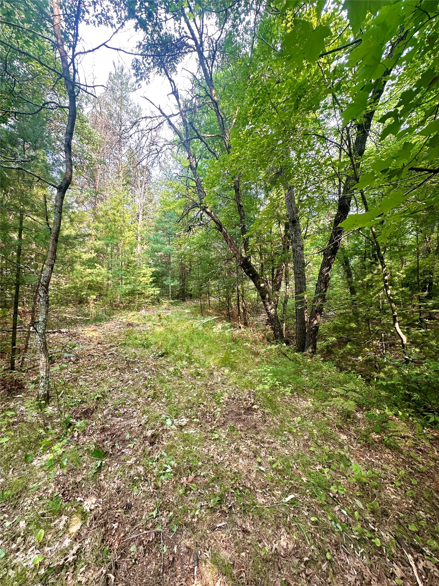 0 County Road N Property Photo 16