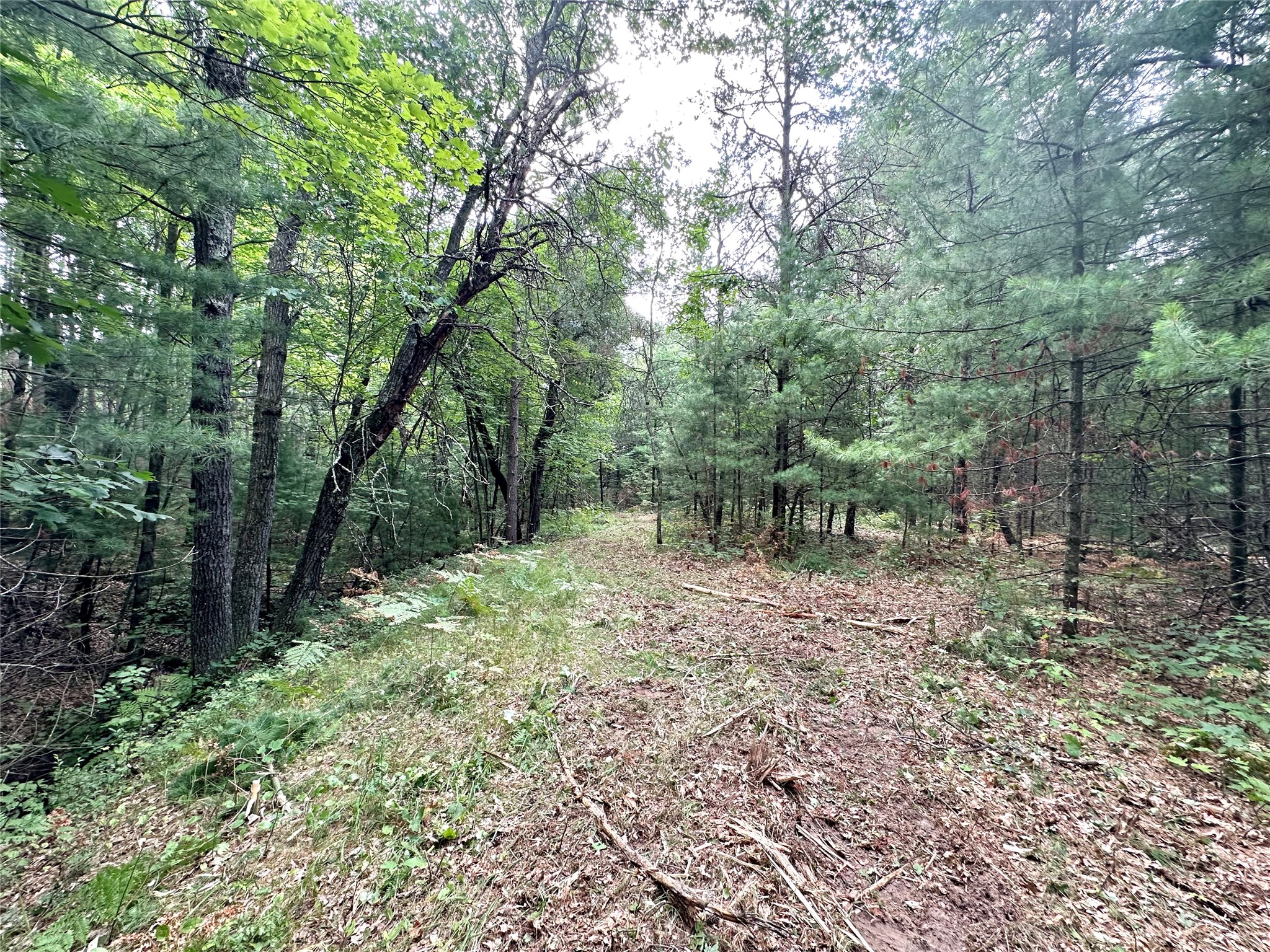 0 County Road N Property Photo 22