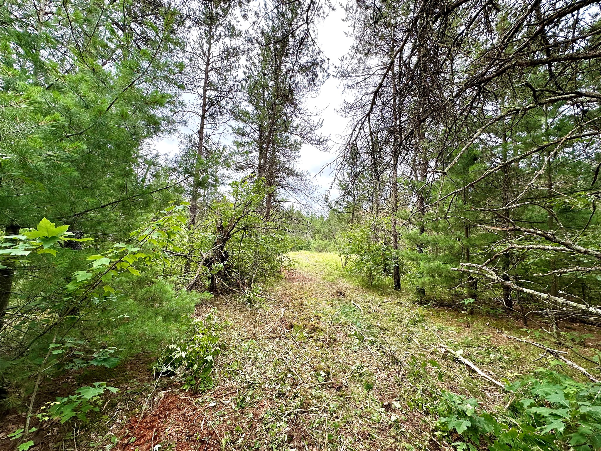 0 County Road N Property Photo 26