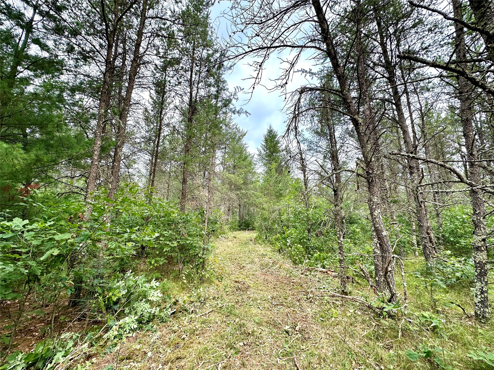 0 County Road N Property Photo 29