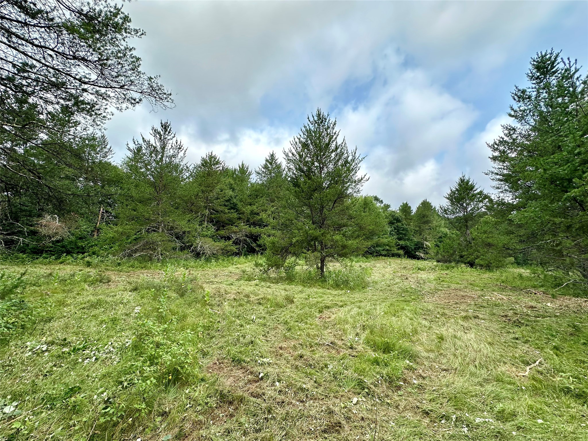 0 County Road N Property Photo 31