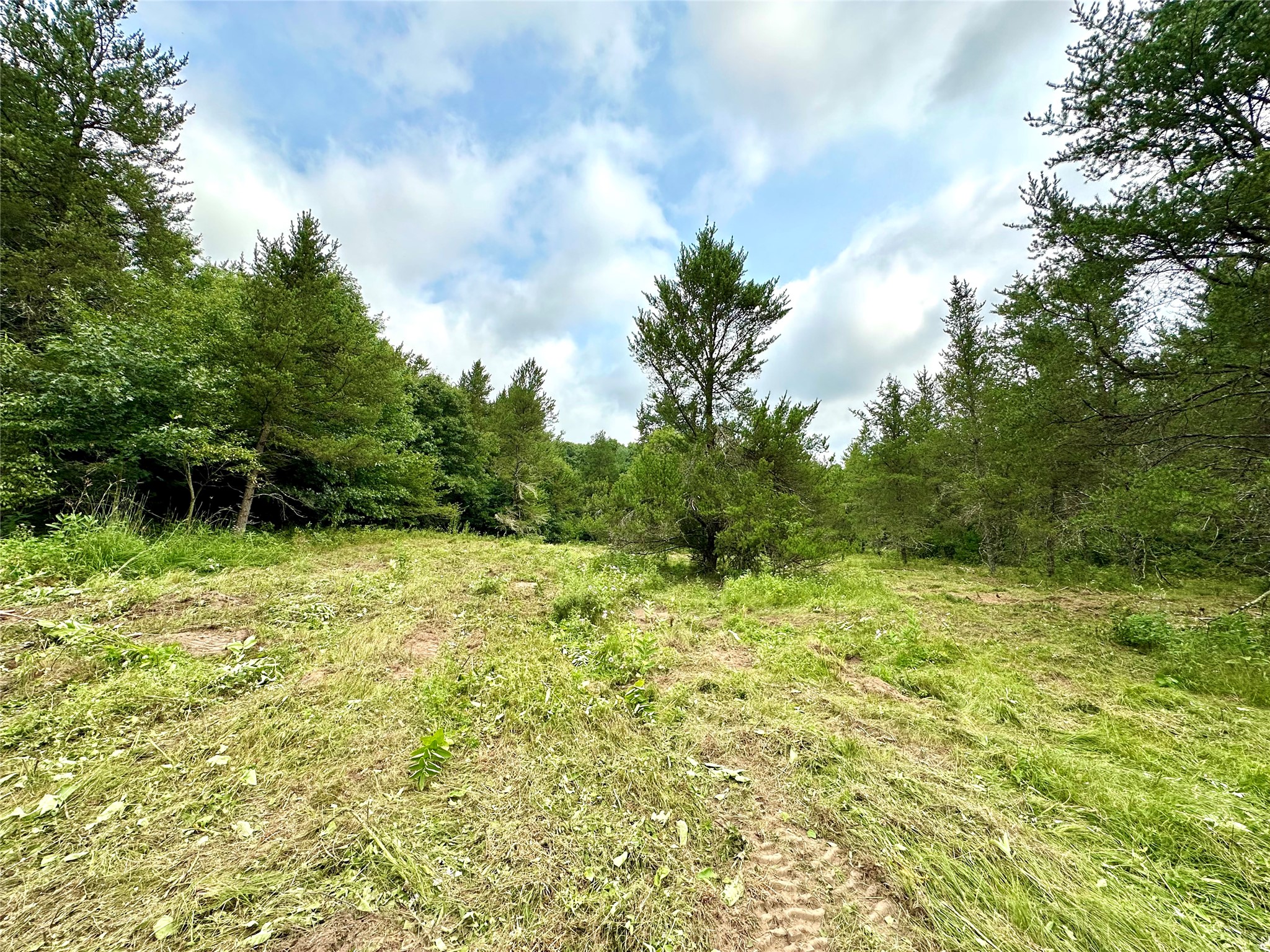 0 County Road N Property Photo 33
