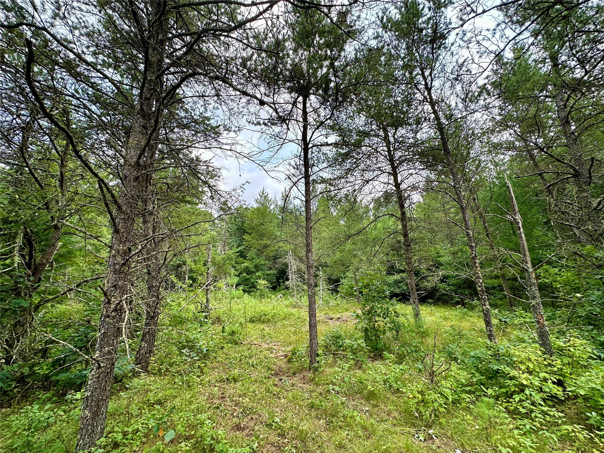 0 County Road N Property Photo 38