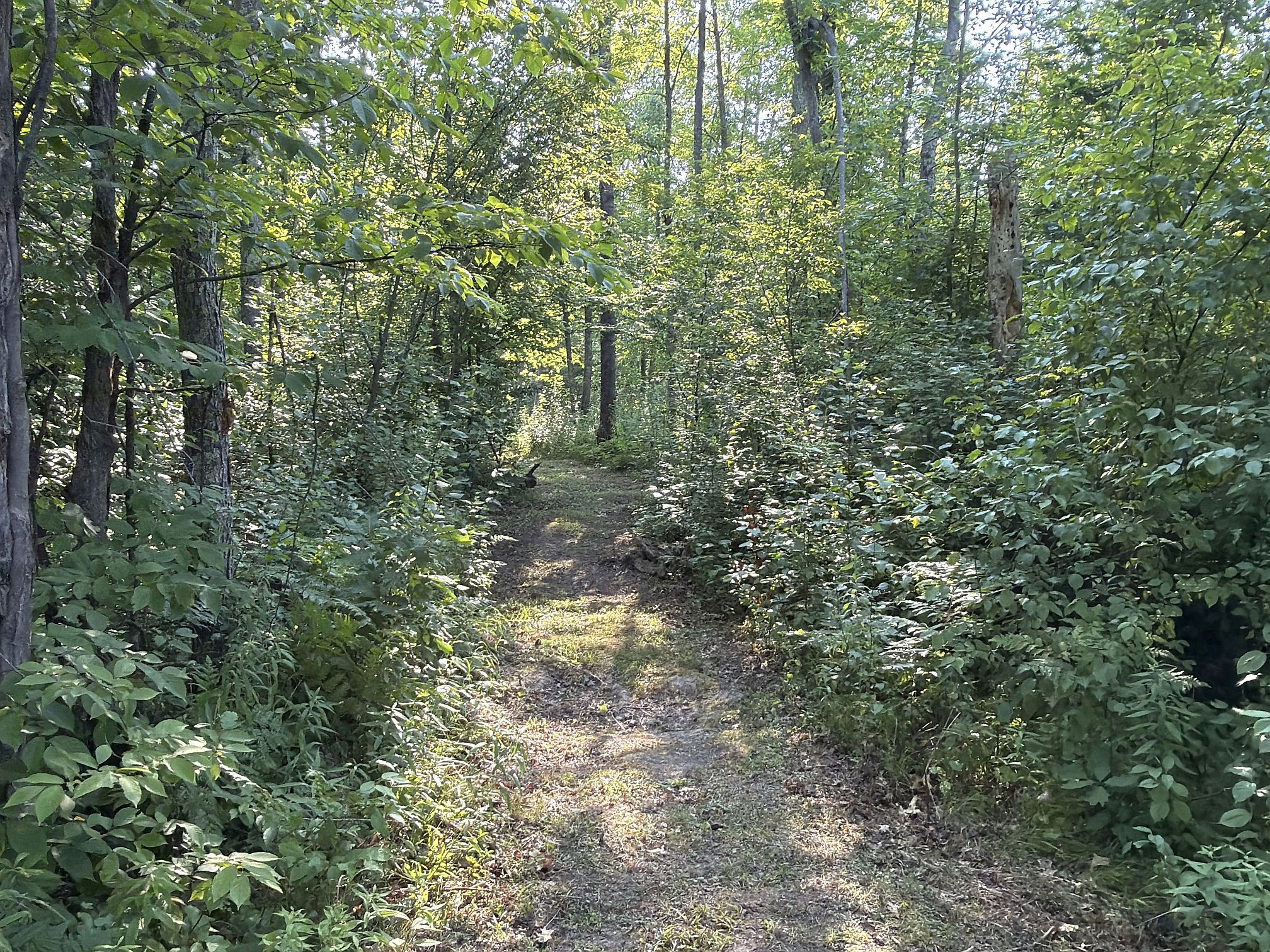 W9527 Mile Road Property Photo 33