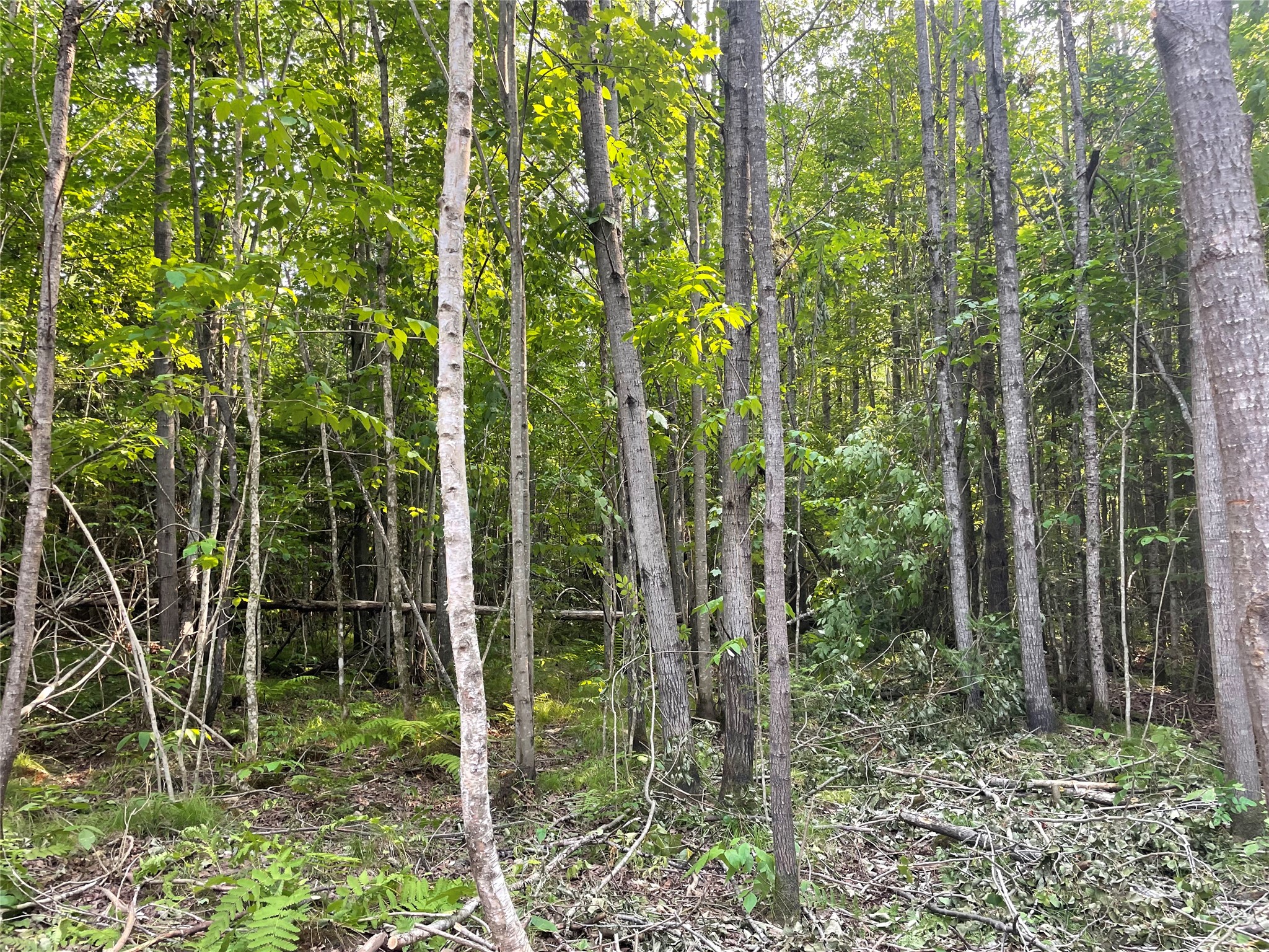 Lot 6 Uncle Toms Road Property Photo 15