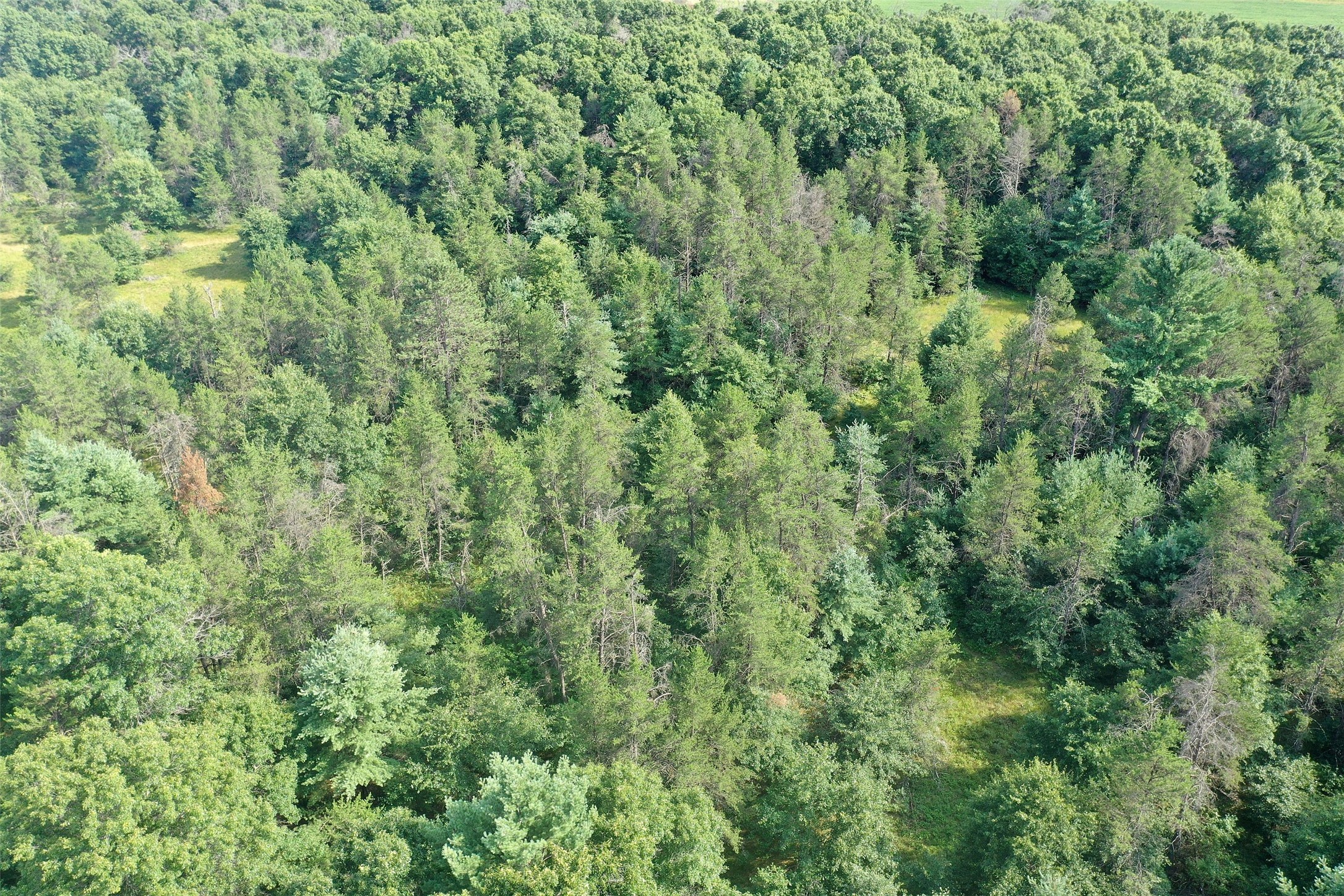 13160 S Camp Road Property Photo 1