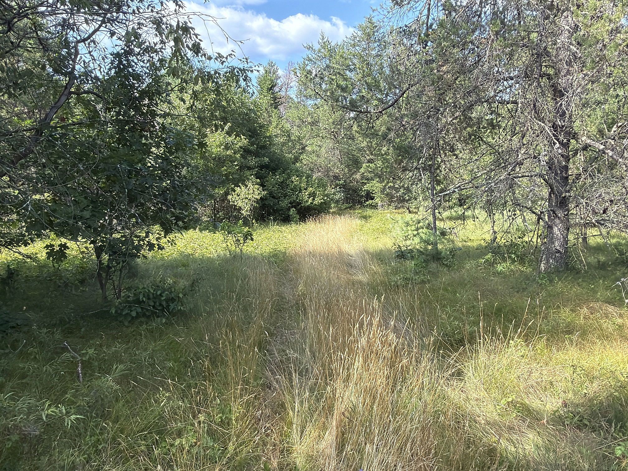 13160 S Camp Road Property Photo 3