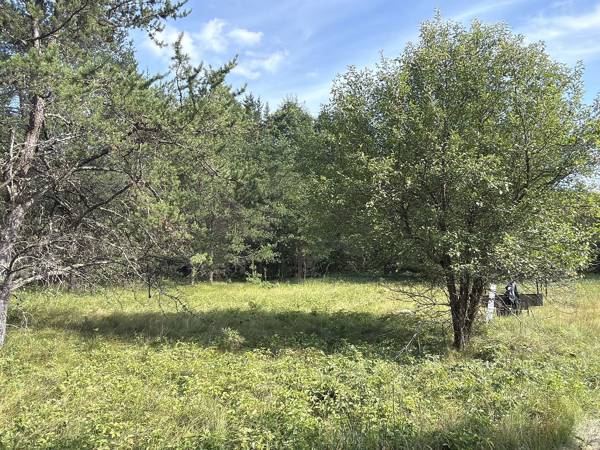 13160 S Camp Road Property Photo 4