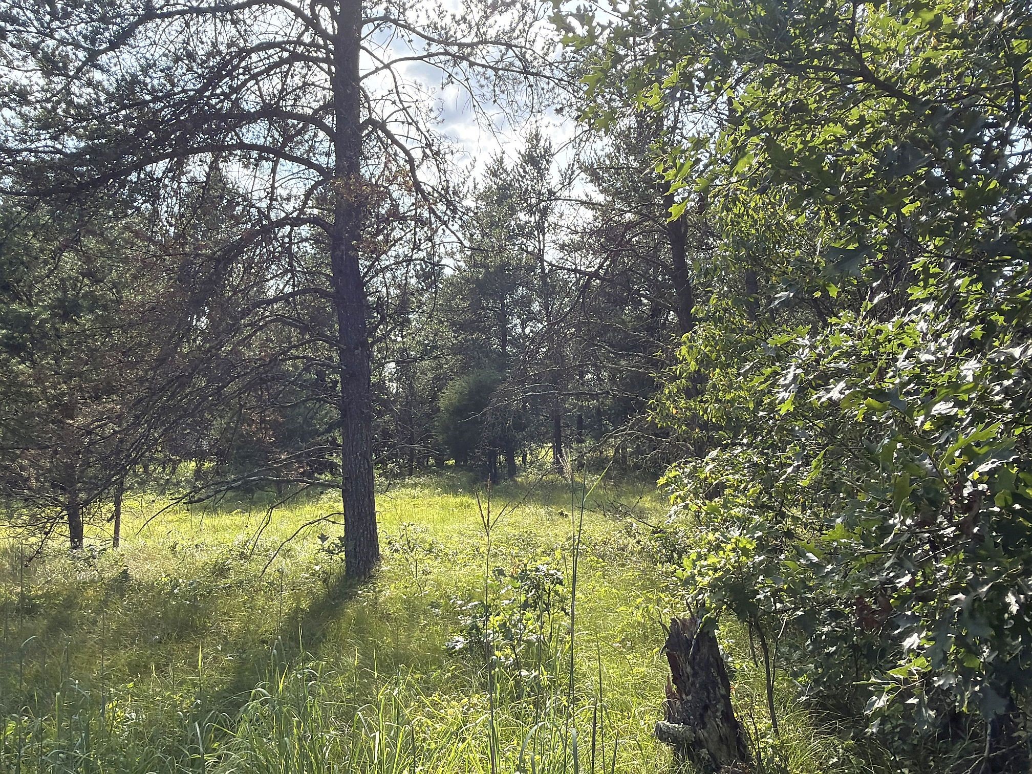 13160 S Camp Road Property Photo 5