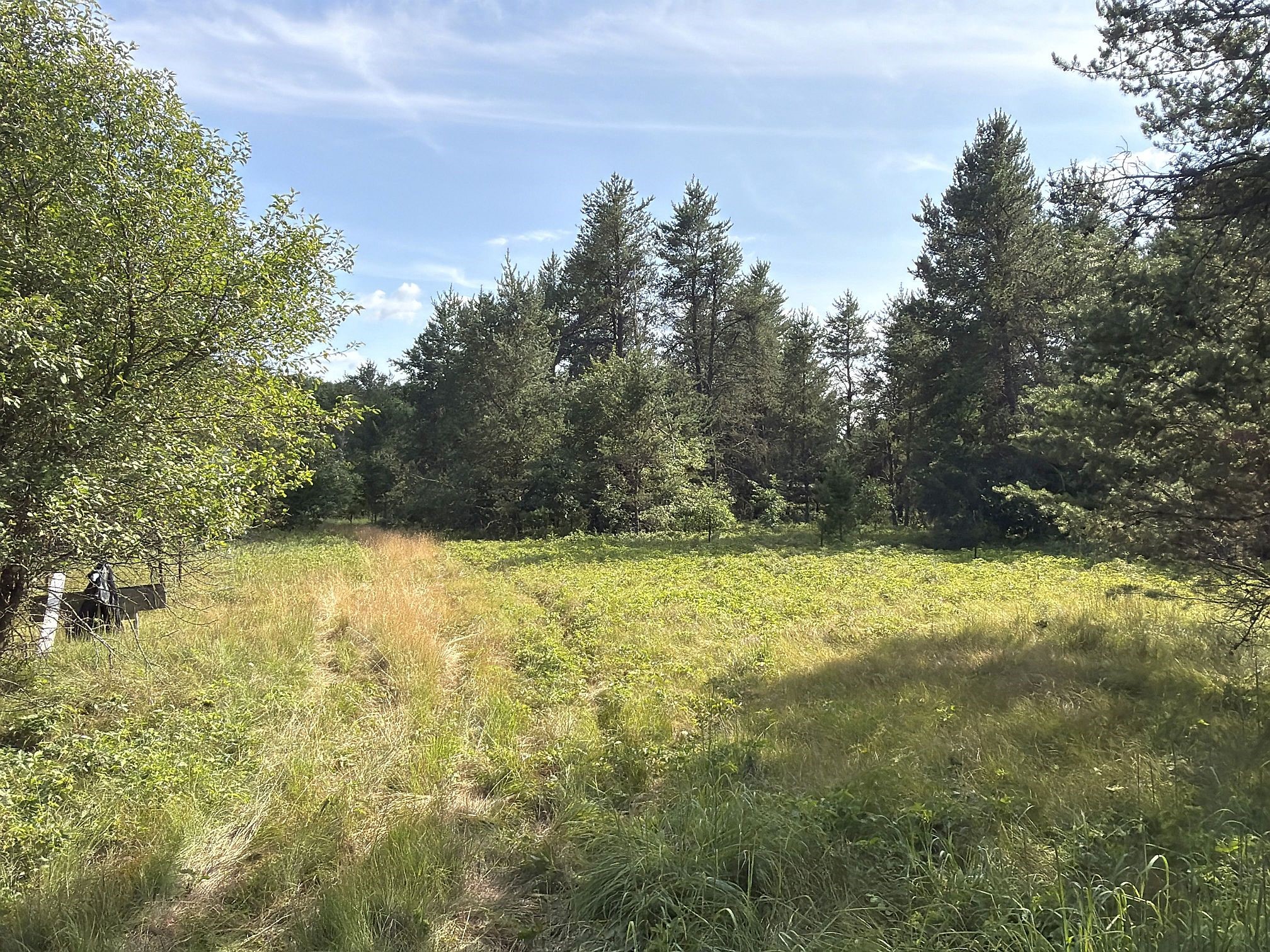 13160 S Camp Road Property Photo 6