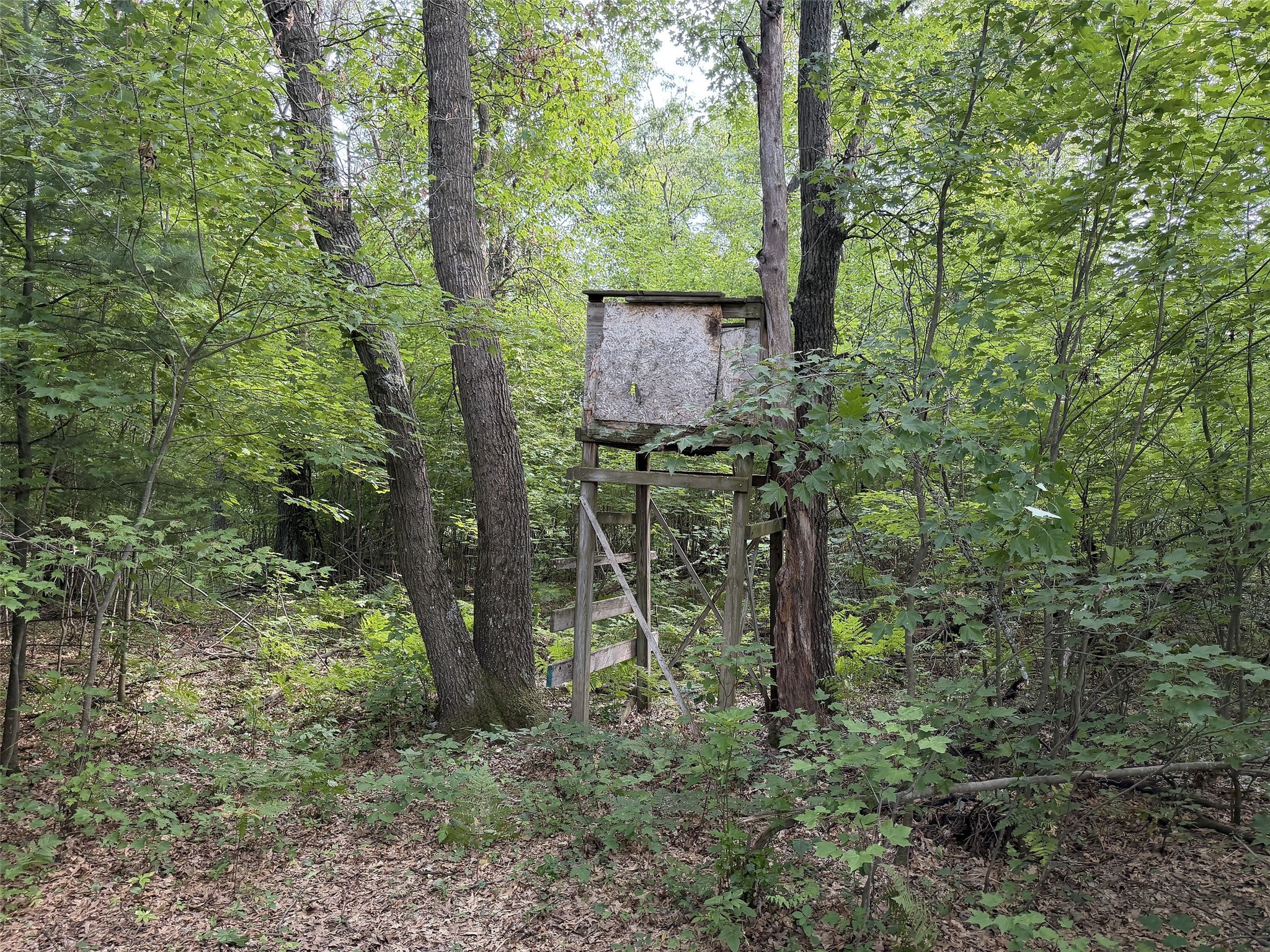 13160 S Camp Road Property Photo 7
