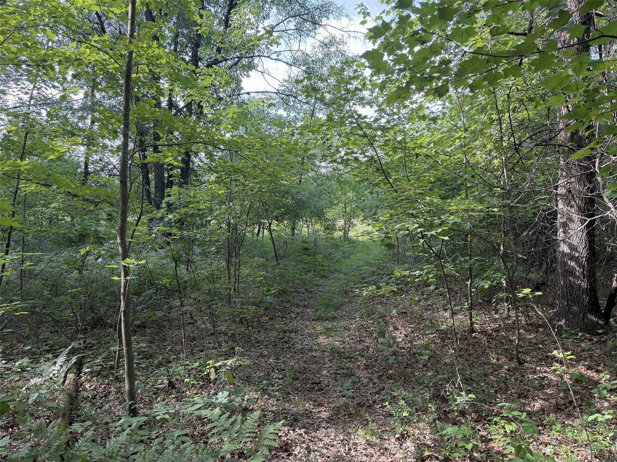 13160 S Camp Road Property Photo 8