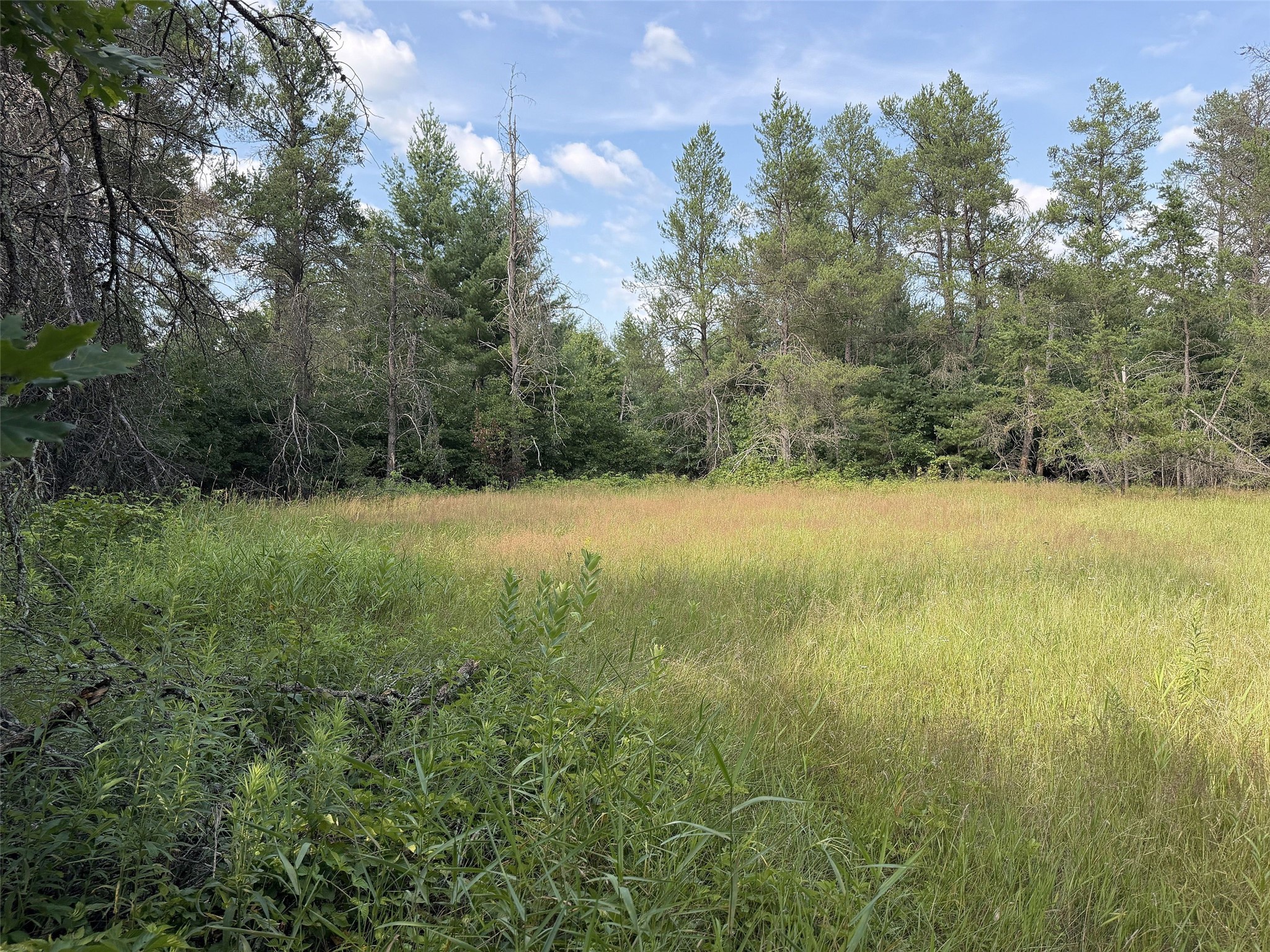 13160 S Camp Road Property Photo 9