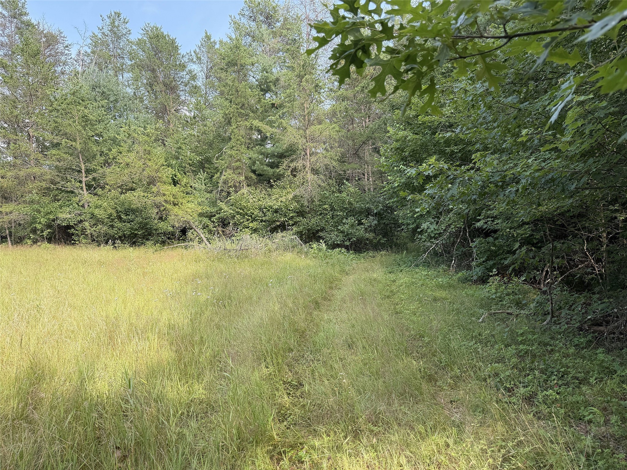 13160 S Camp Road Property Photo 10