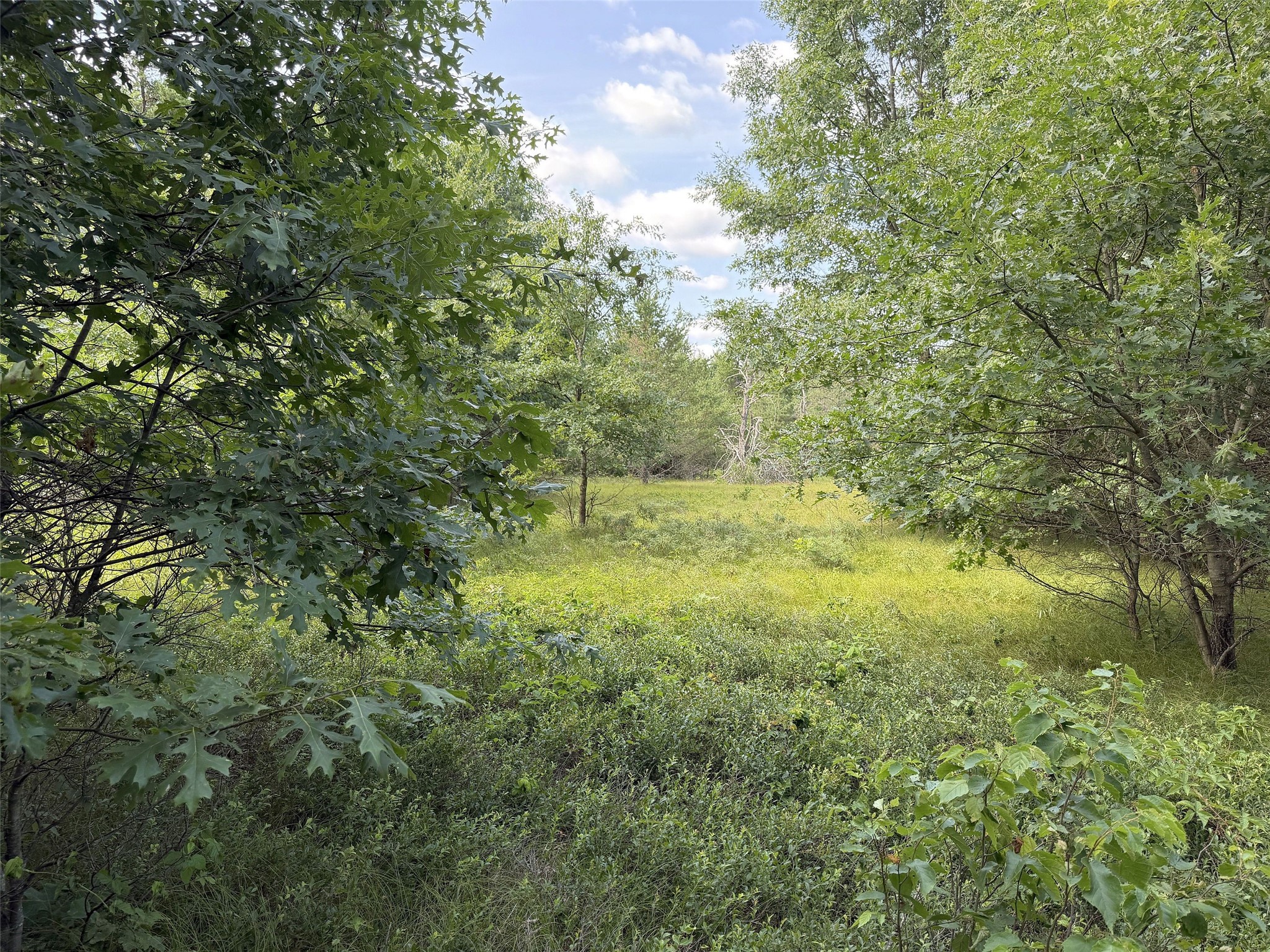 13160 S Camp Road Property Photo 11