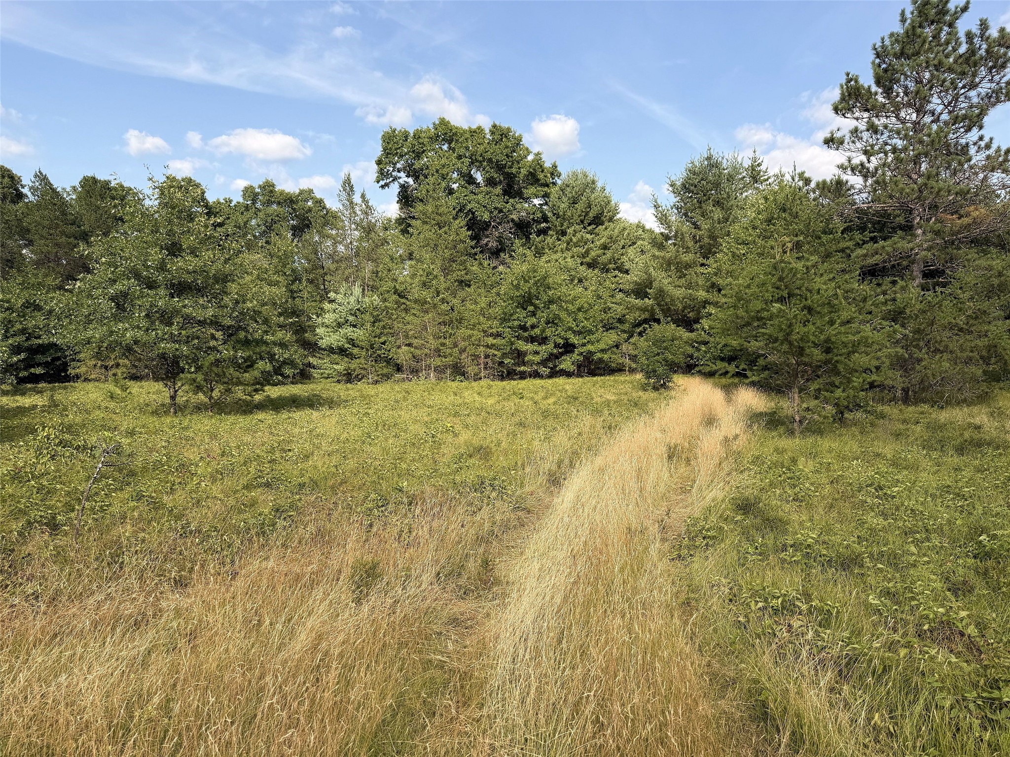 13160 S Camp Road Property Photo 14
