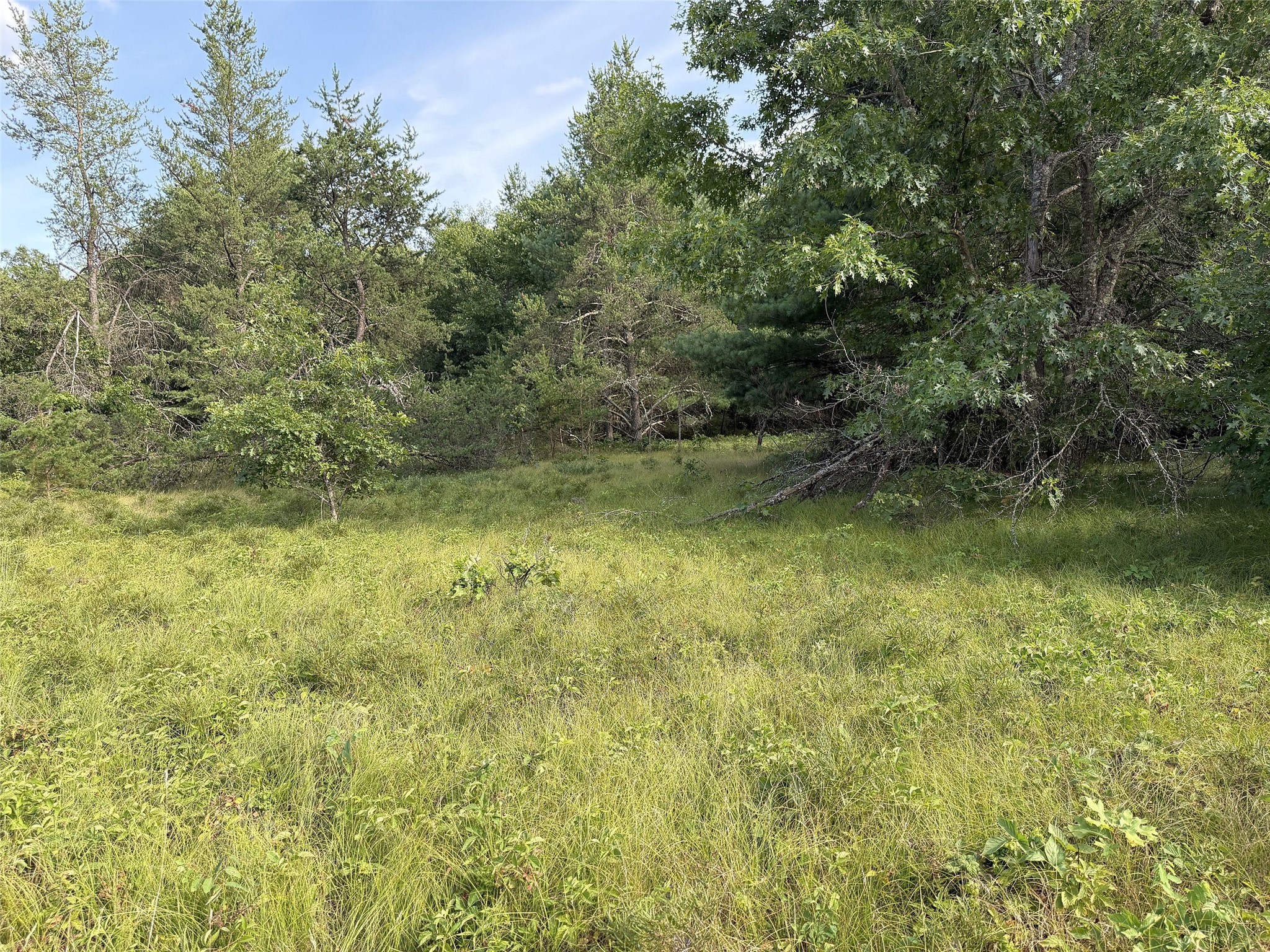13160 S Camp Road Property Photo 15