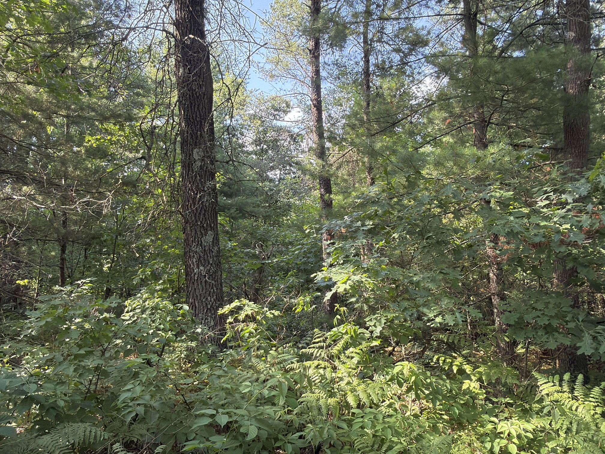 13160 S Camp Road Property Photo 16