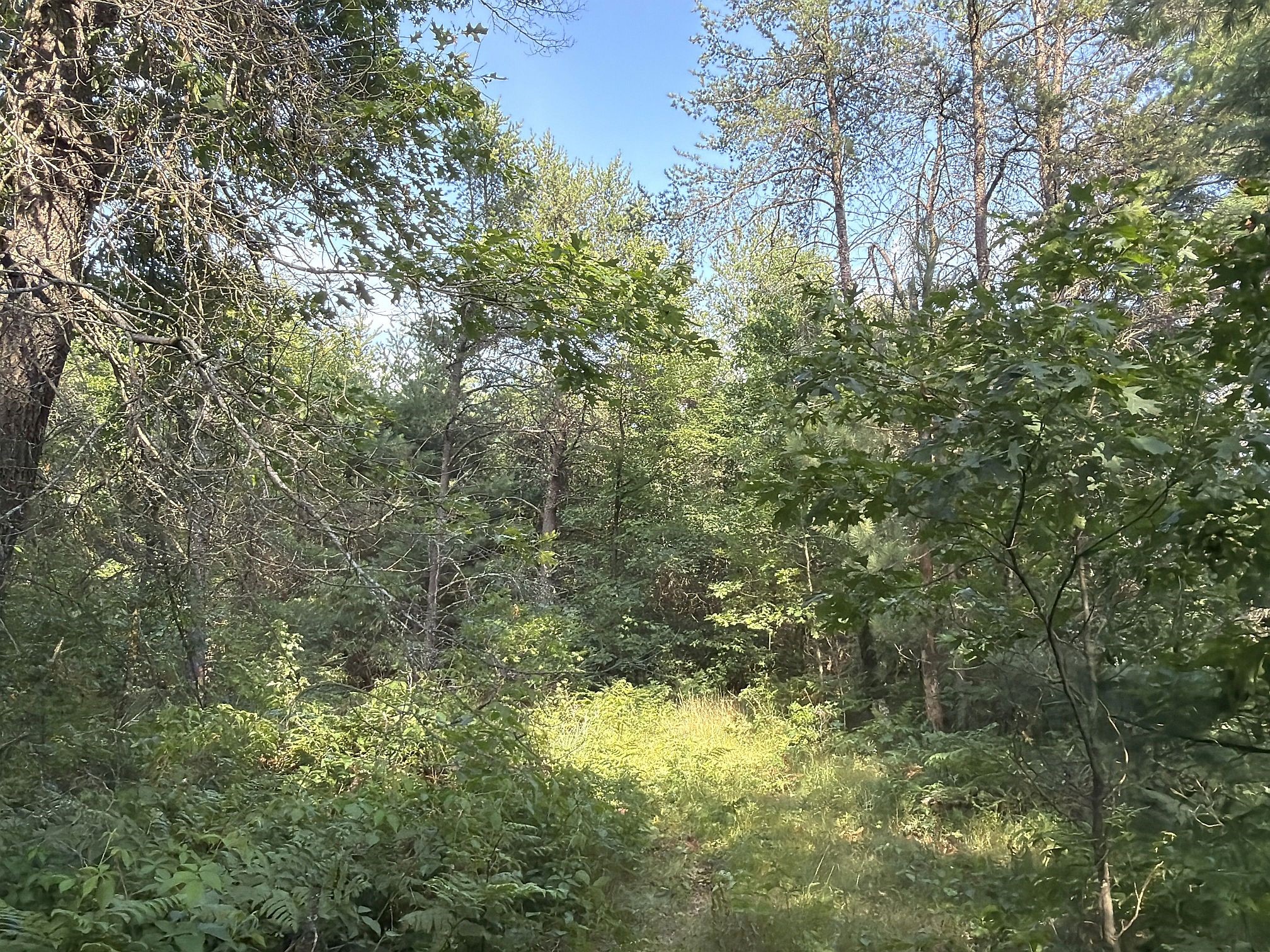 13160 S Camp Road Property Photo 17