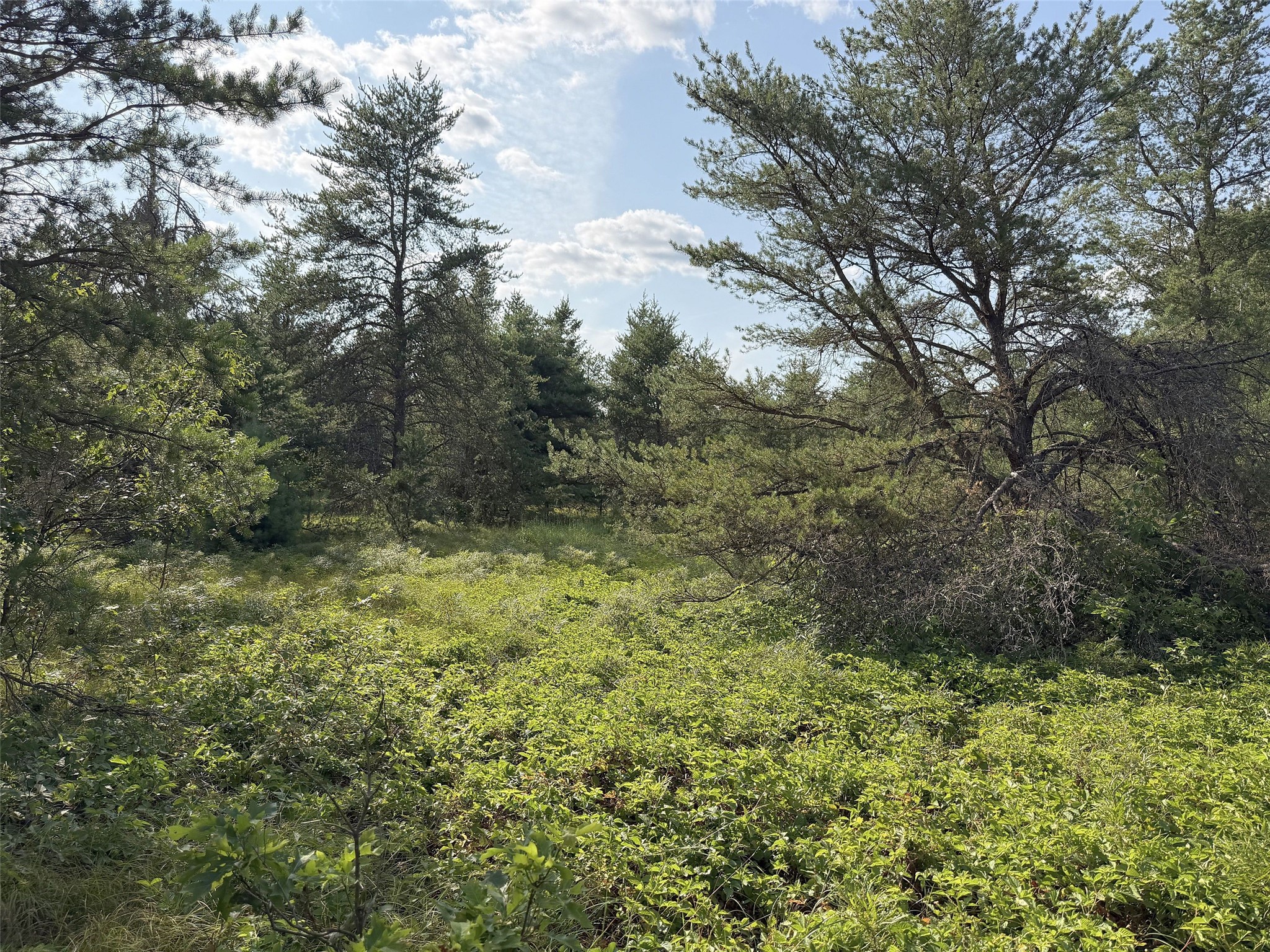 13160 S Camp Road Property Photo 19