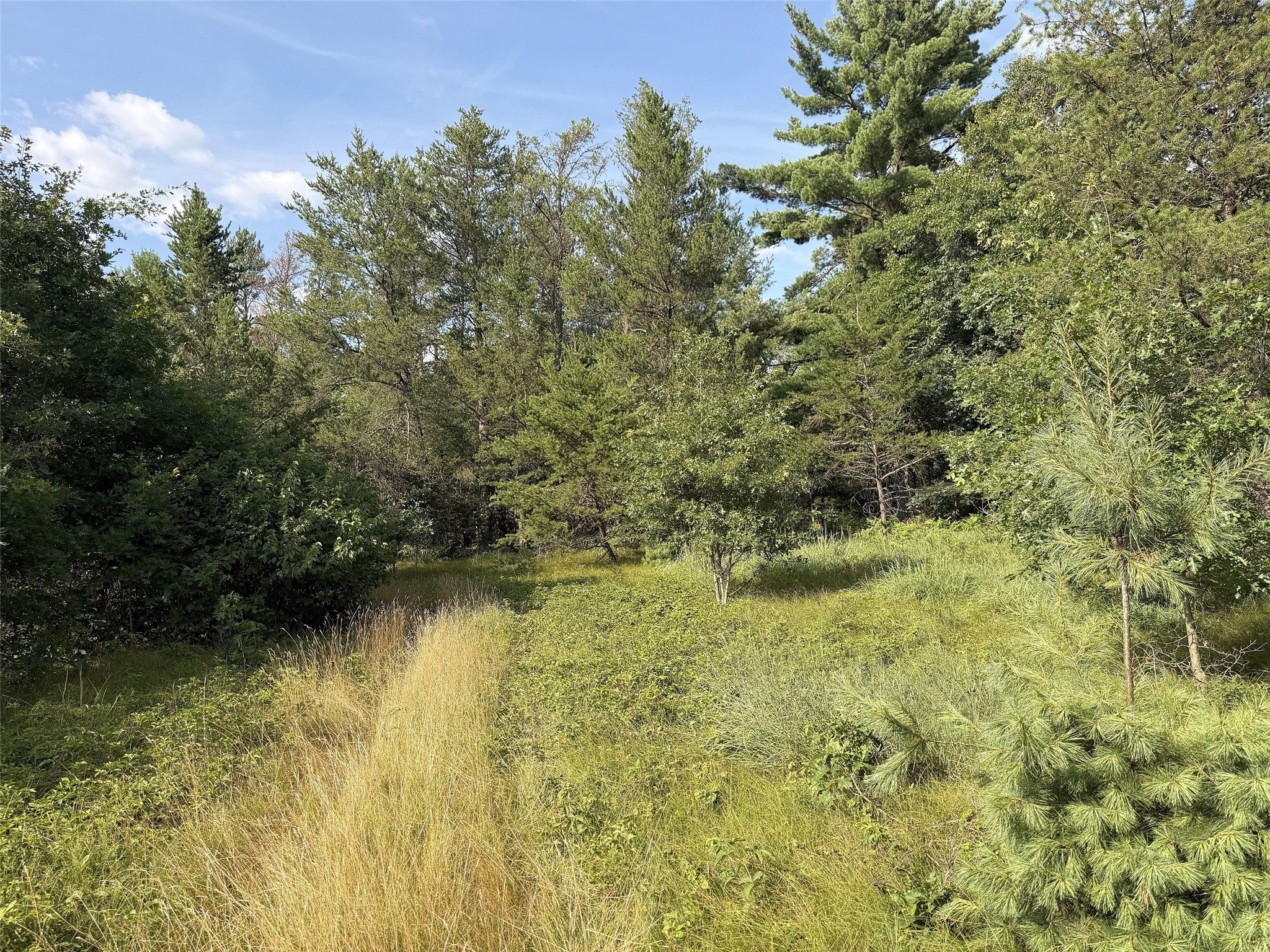 13160 S Camp Road Property Photo 20
