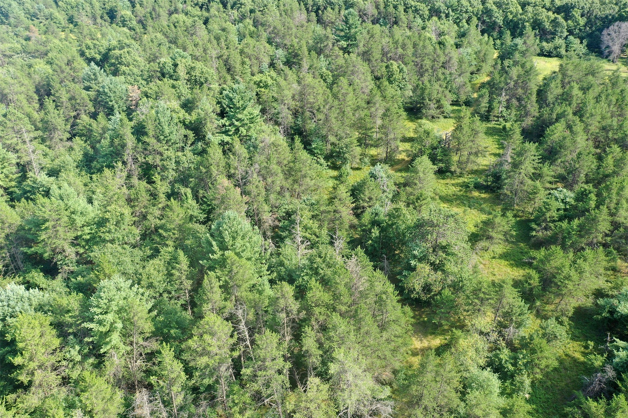 13160 S Camp Road Property Photo 26