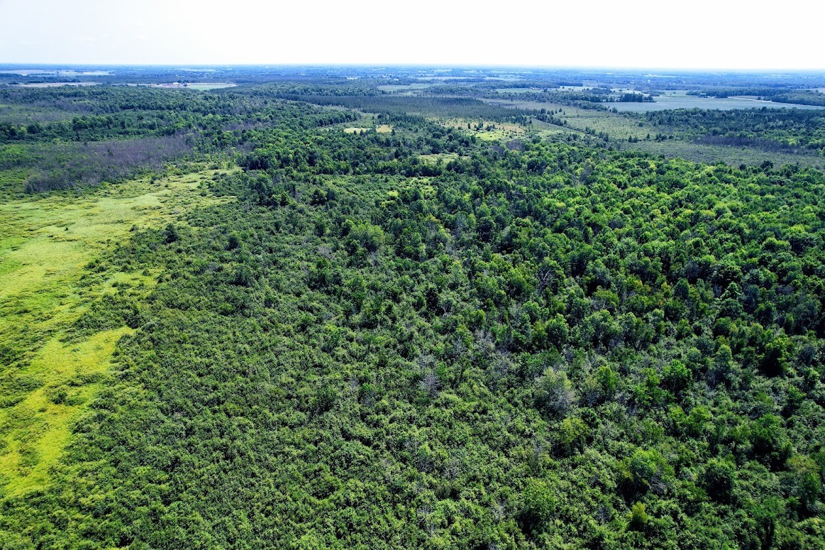 N2438 State Highway 27 Property Photo 30
