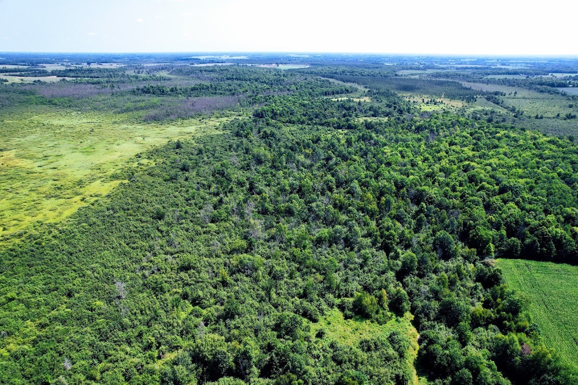N2438 State Highway 27 Property Photo 31