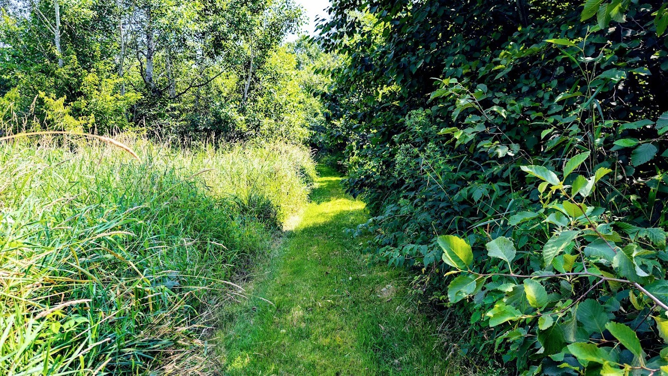 N2438 State Highway 27 Property Photo 38