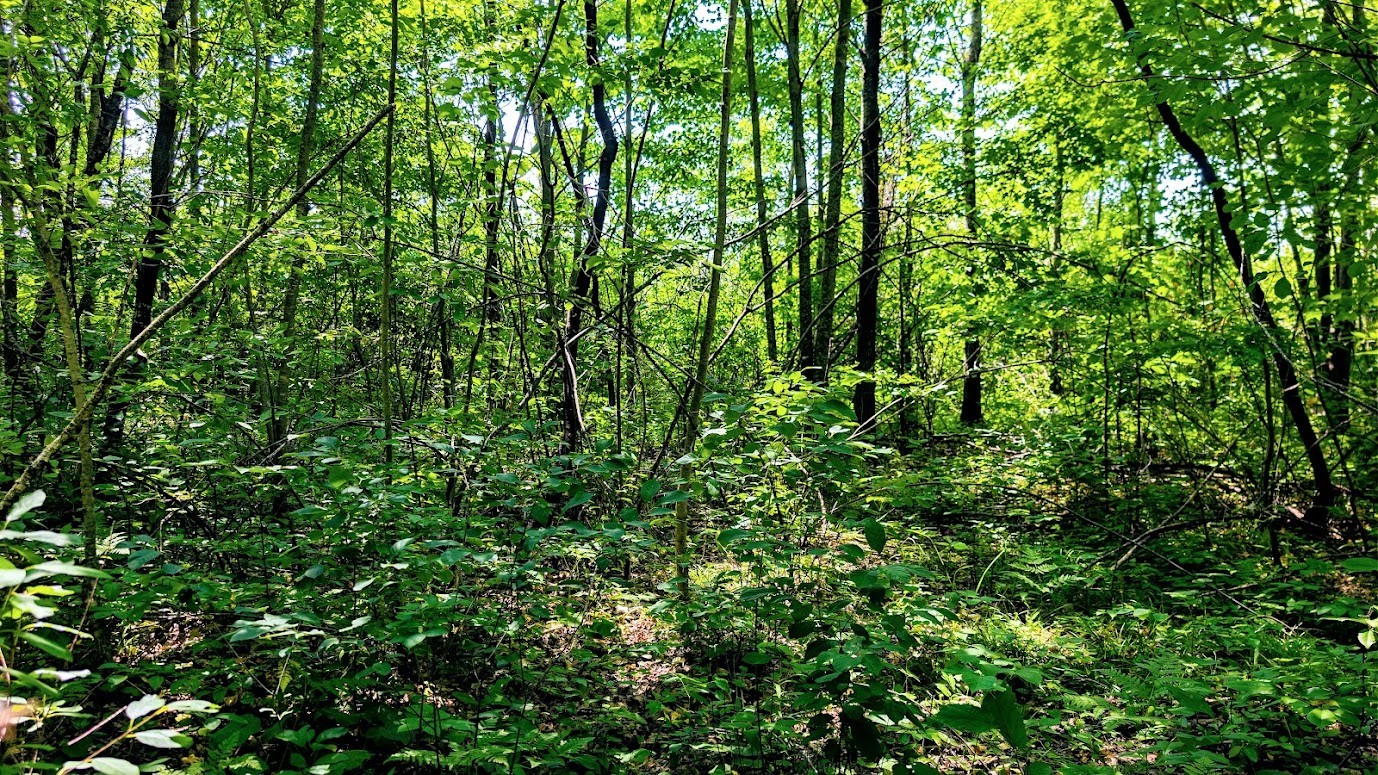 N2438 State Highway 27 Property Photo 42