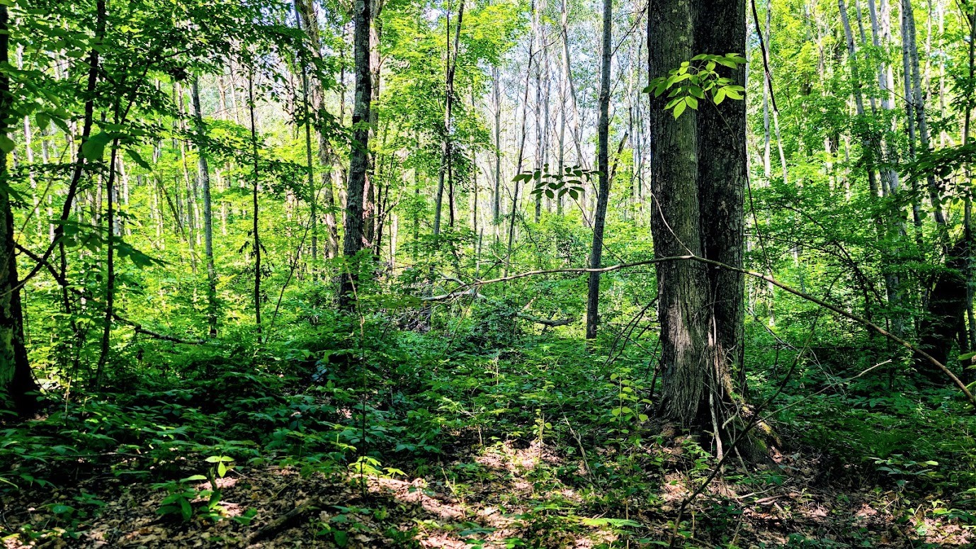 N2438 State Highway 27 Property Photo 43