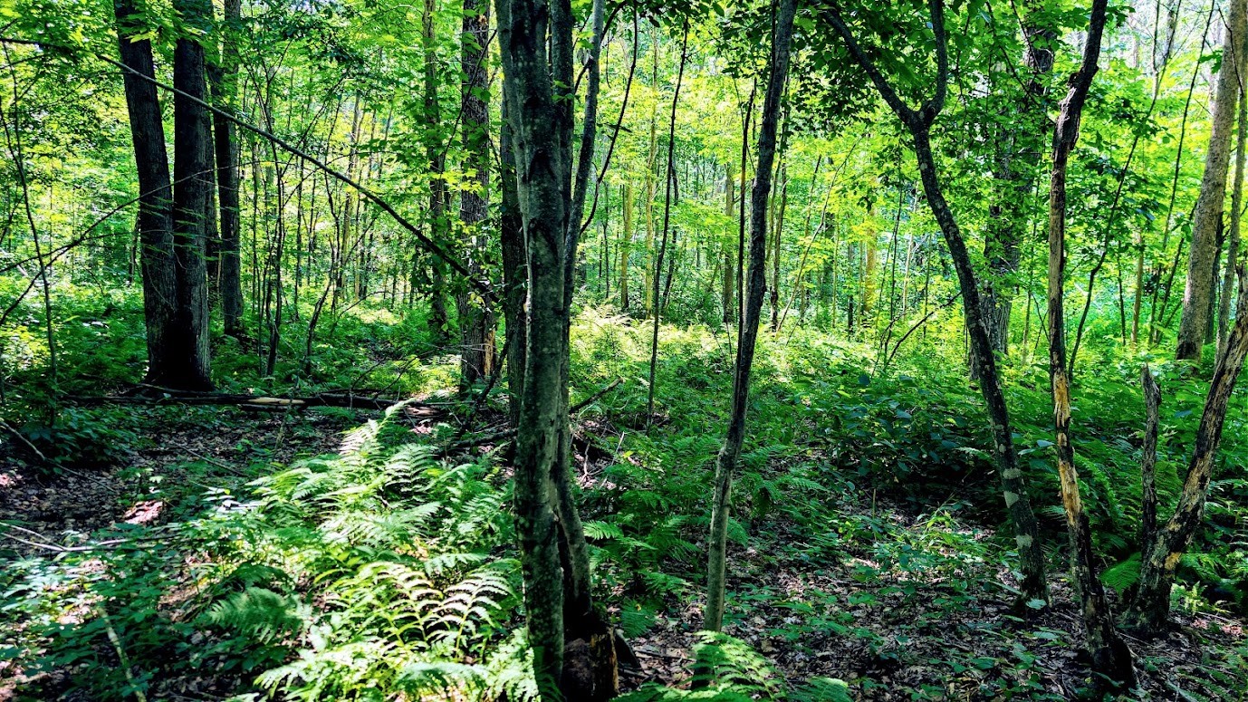 N2438 State Highway 27 Property Photo 45