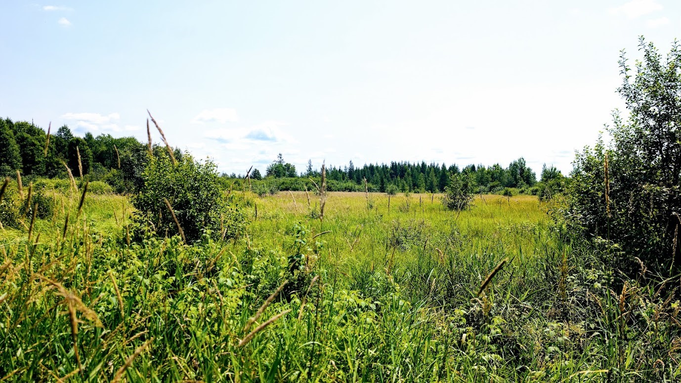 N2438 State Highway 27 Property Photo 46