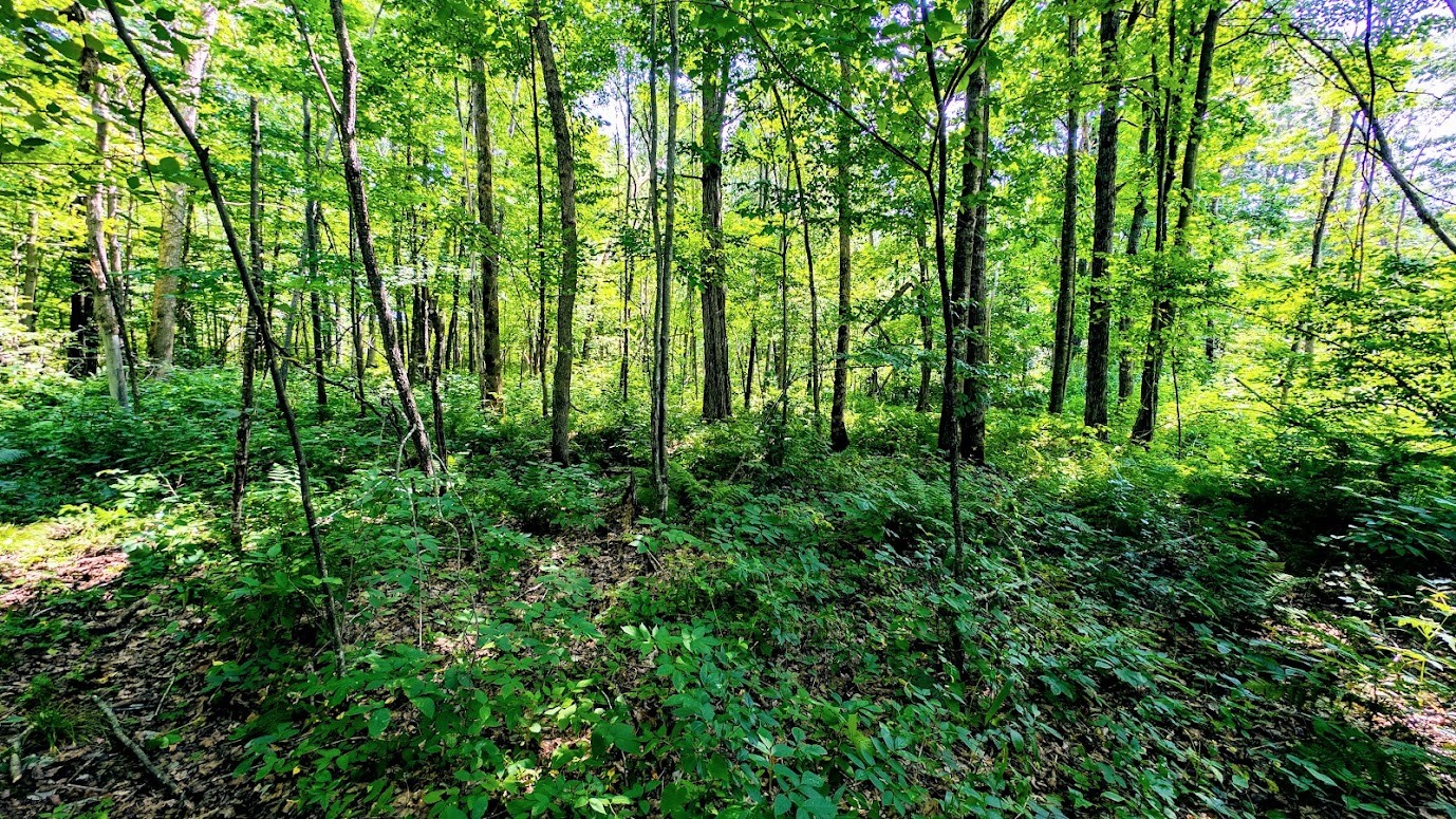 N2438 State Highway 27 Property Photo 49