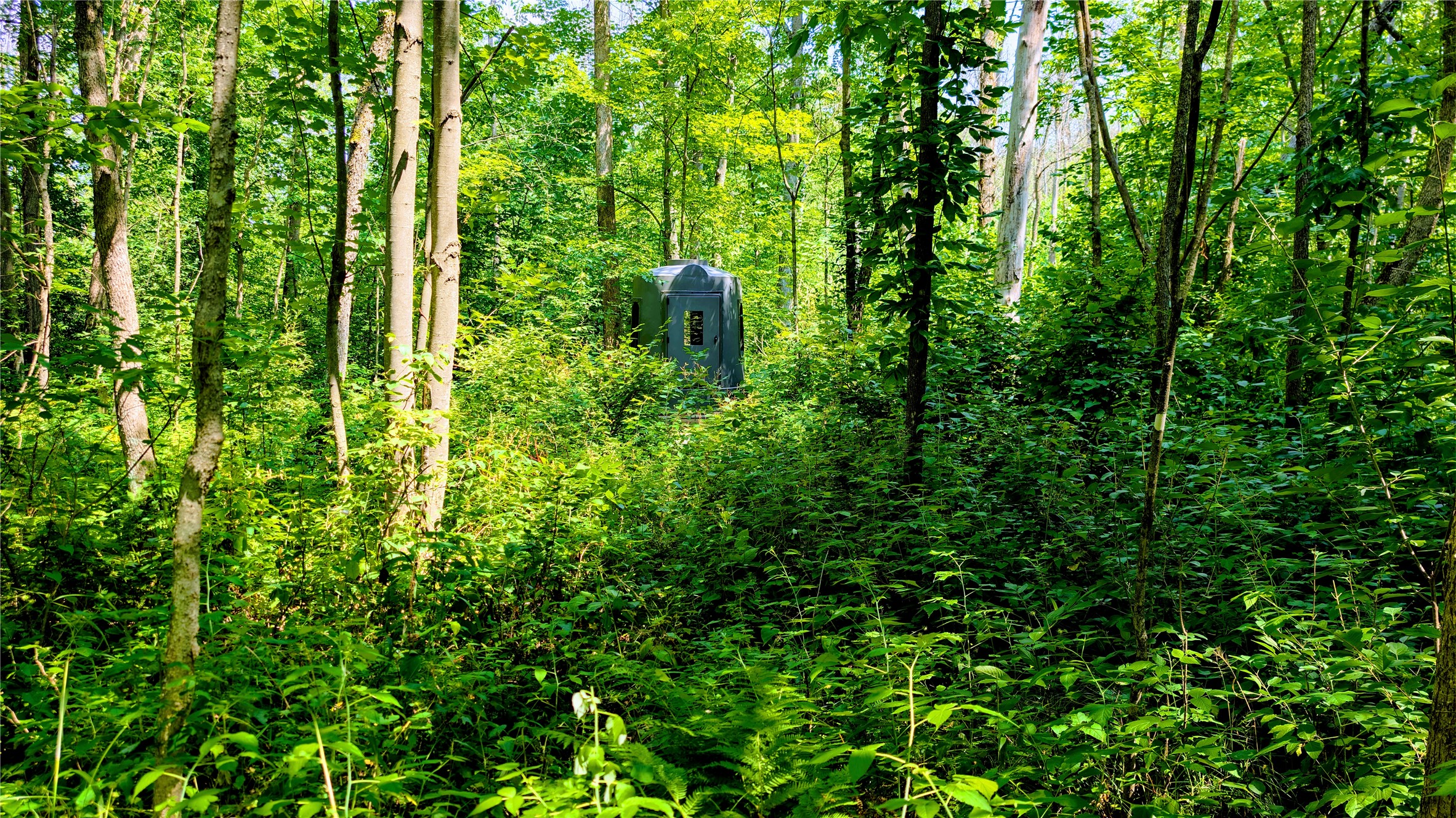 N2438 State Highway 27 Property Photo 51