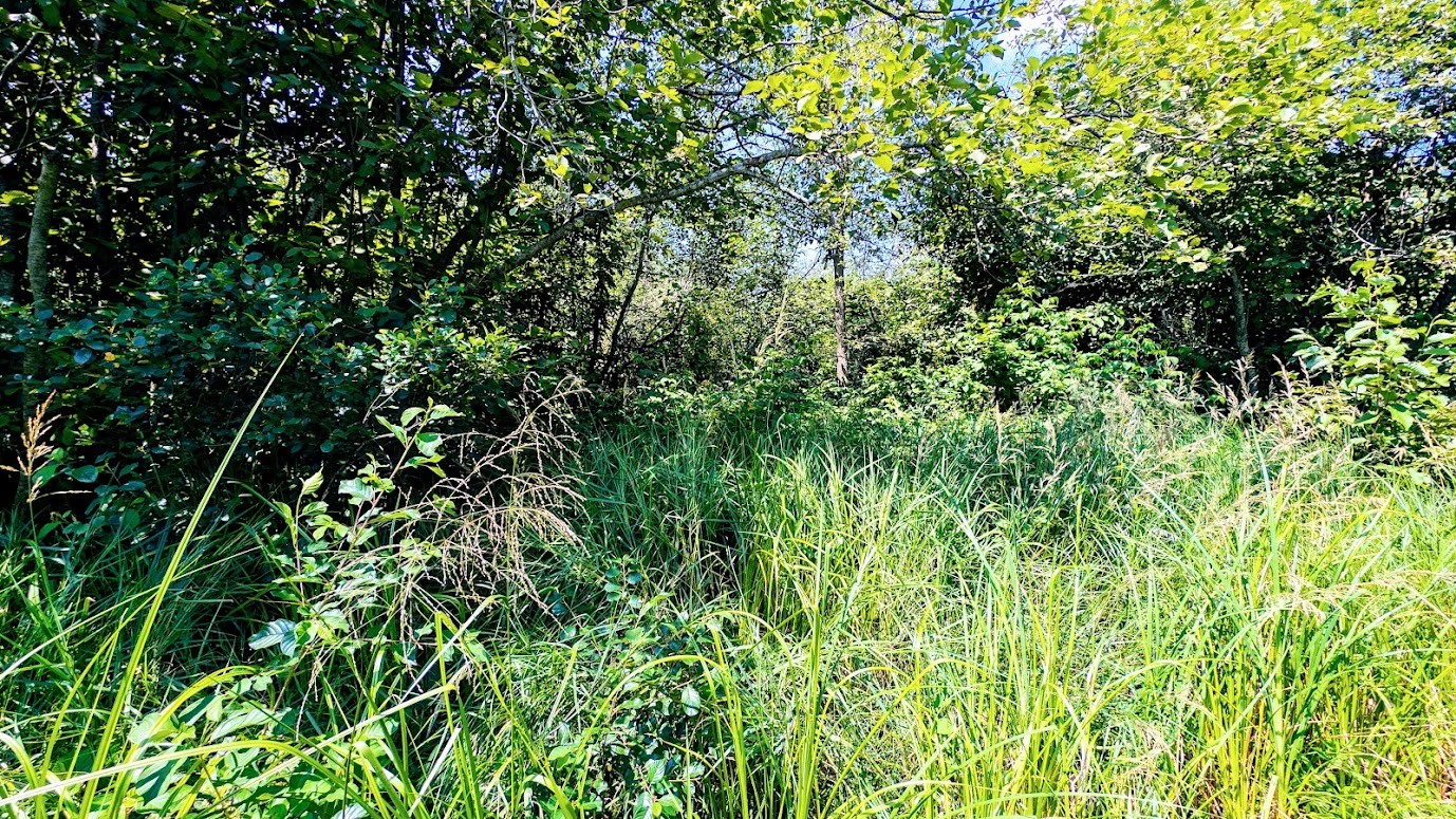 N2438 State Highway 27 Property Photo 53