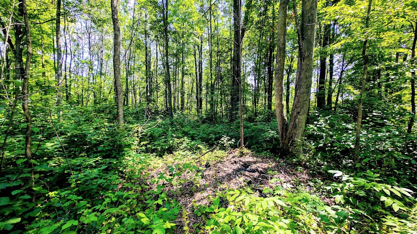N2438 State Highway 27 Property Photo 55