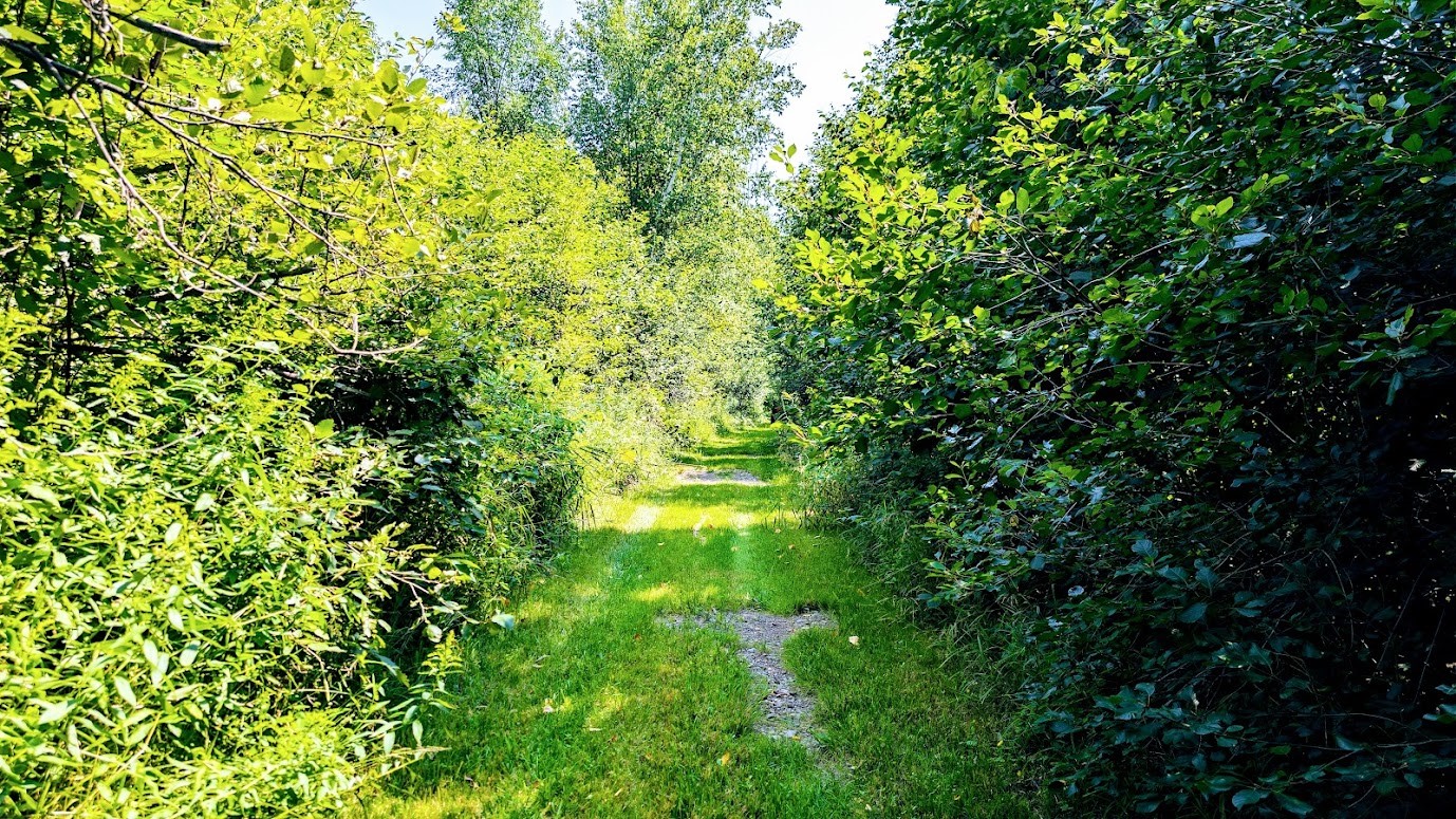 N2438 State Highway 27 Property Photo 57