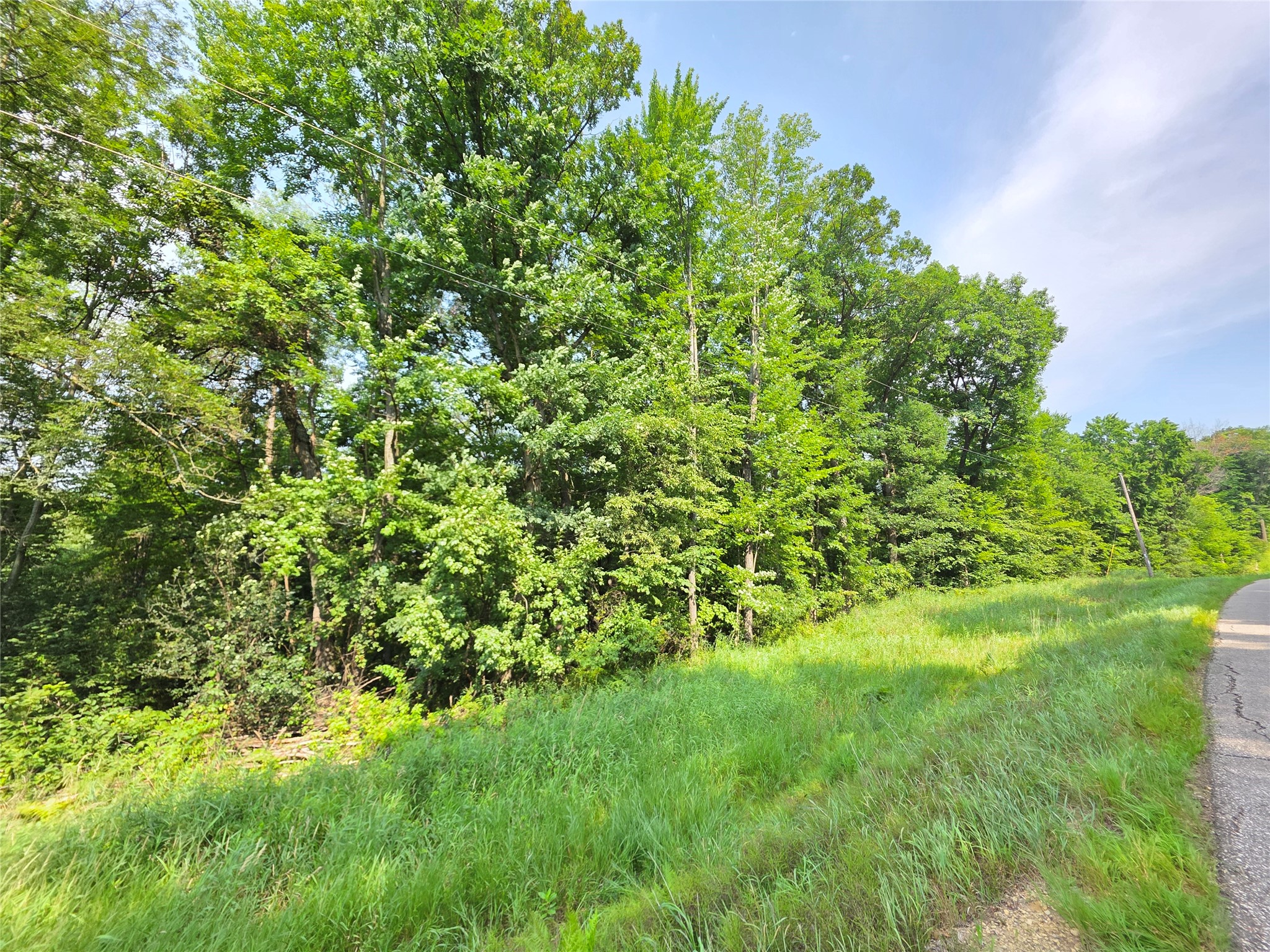 Lot 0 County Road W Property Photo 4