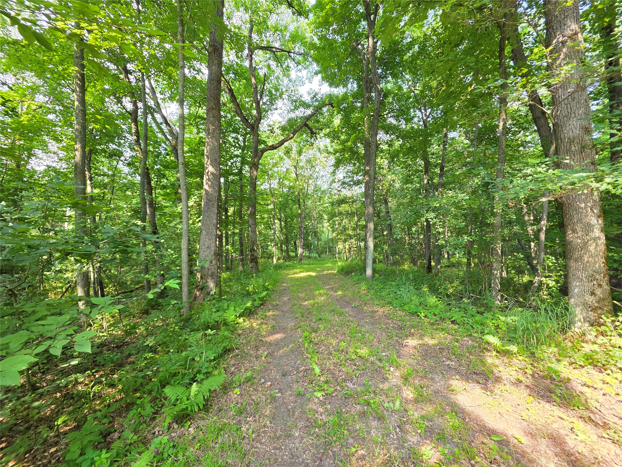 Lot 0 County Road W Property Photo 5