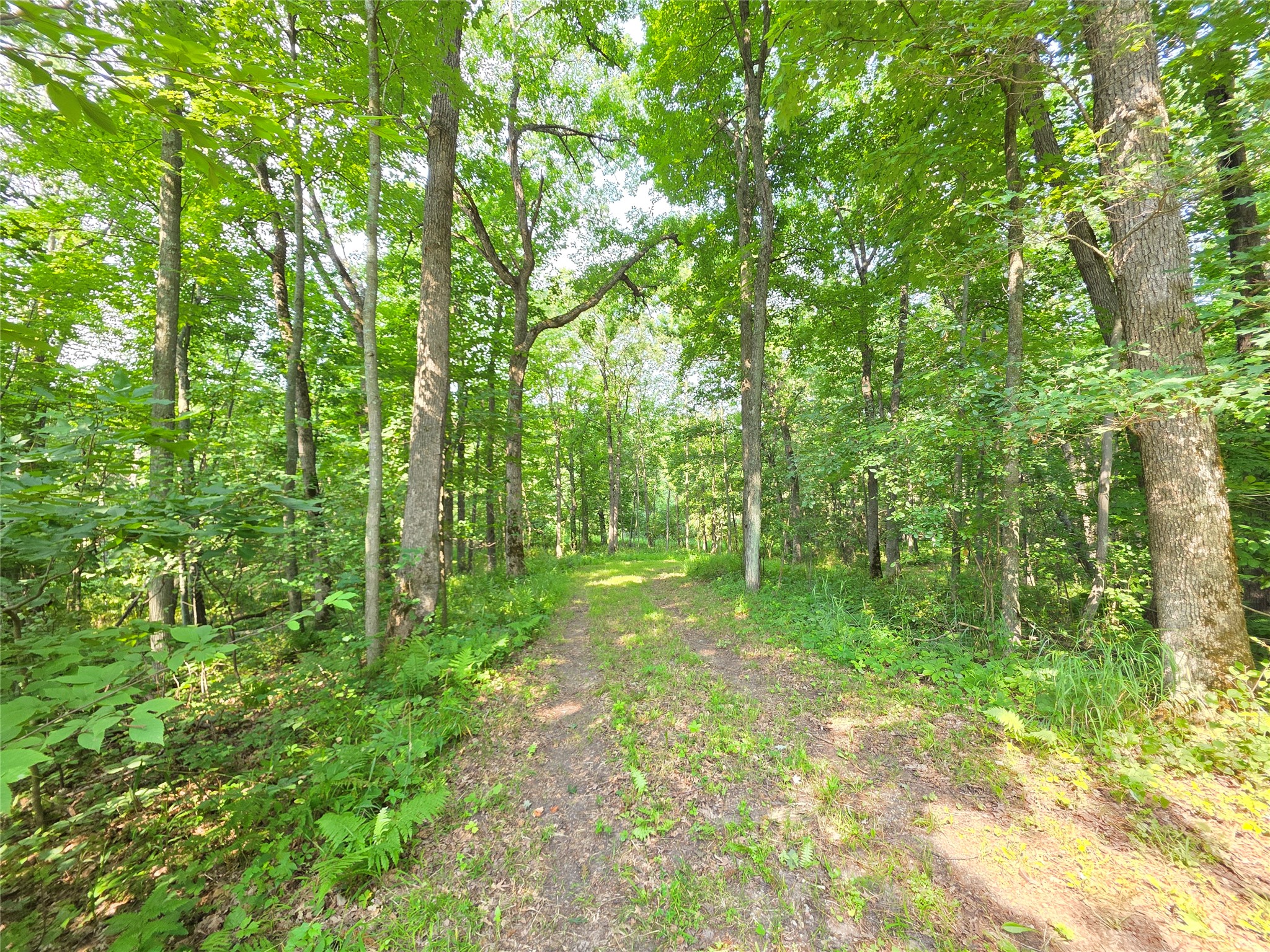 Lot 0 County Road W Property Photo 6