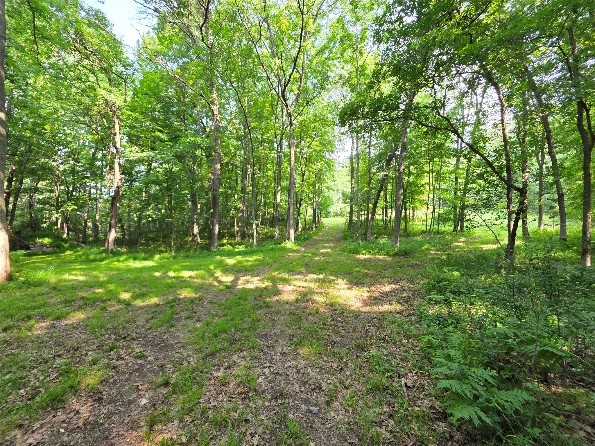 Lot 0 County Road W Property Photo 7
