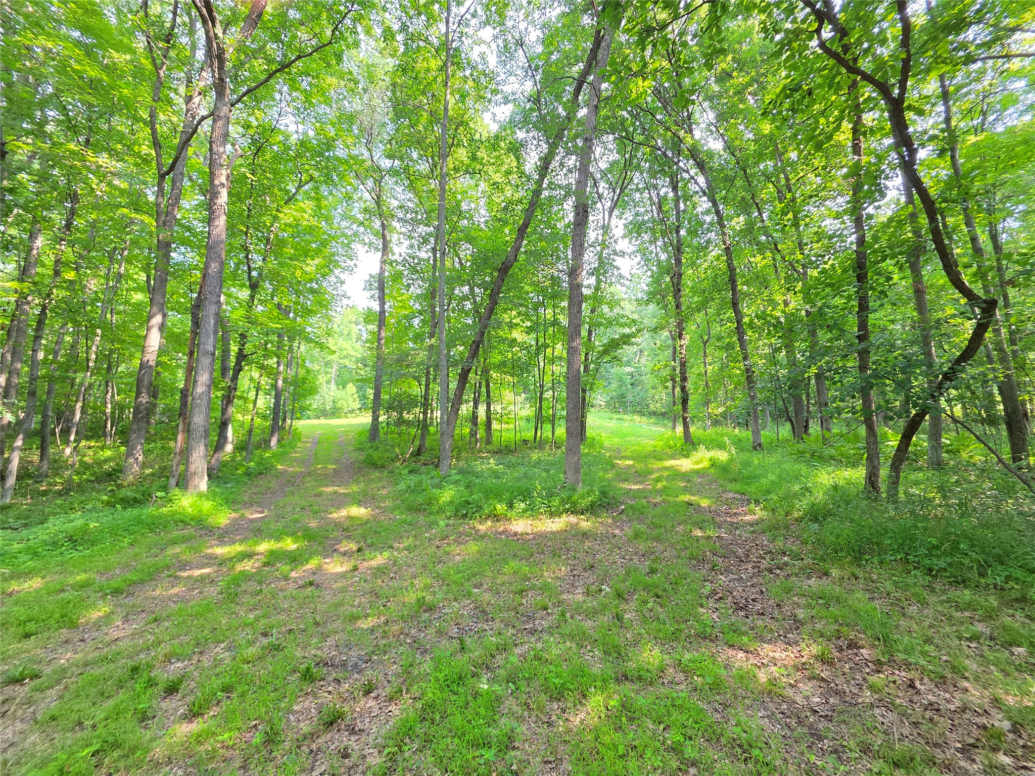 Lot 0 County Road W Property Photo 8
