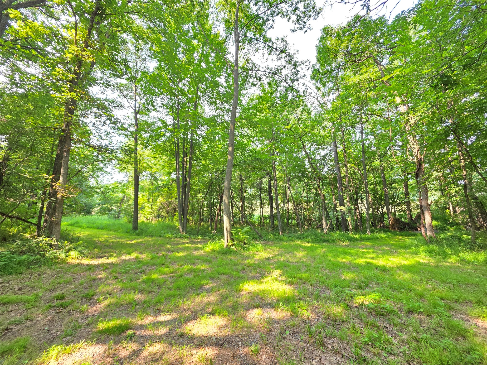 Lot 0 County Road W Property Photo 9